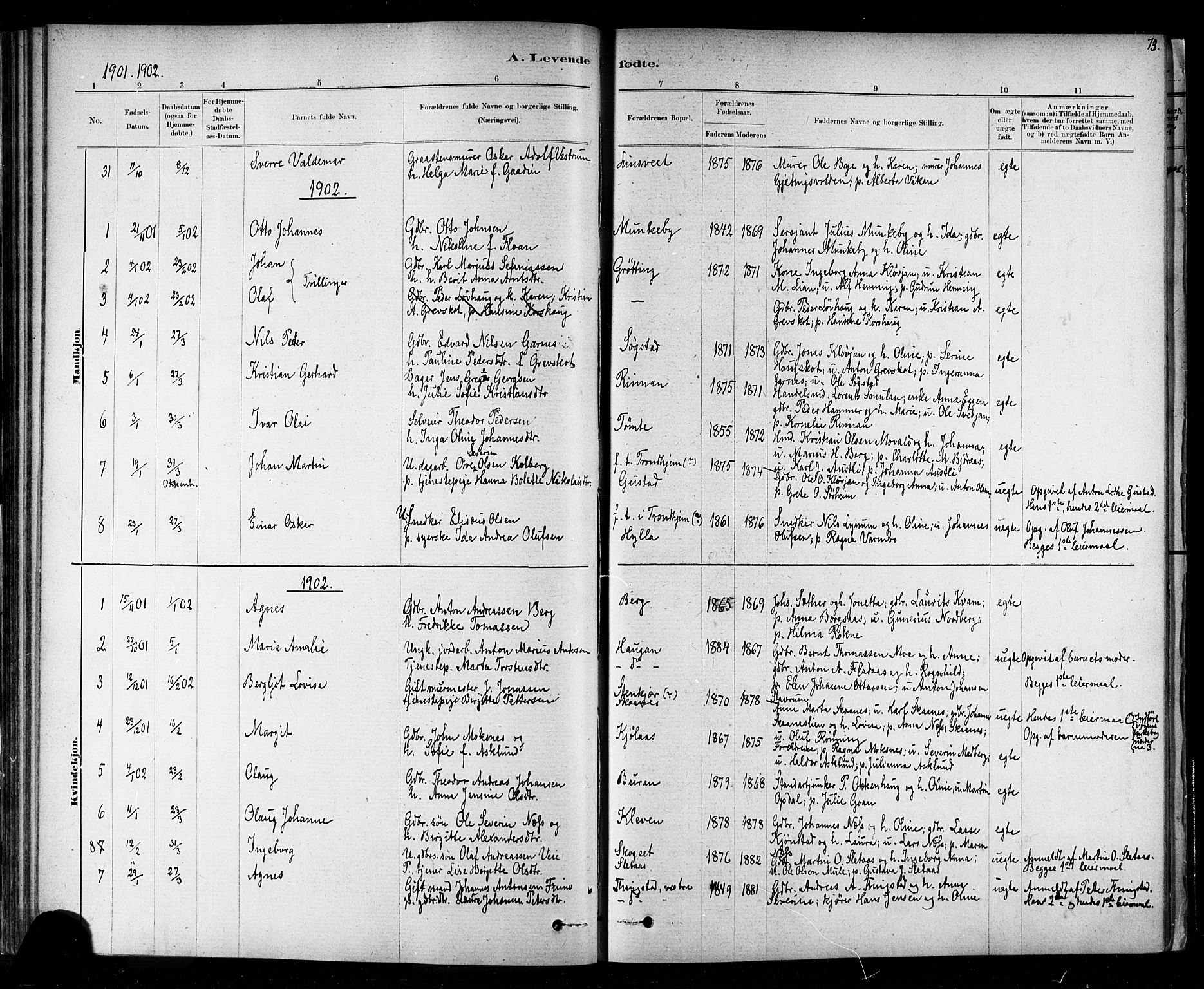 Ministerialprotokoller, klokkerbøker og fødselsregistre - Nord-Trøndelag, SAT/A-1458/721/L0208: Parish register (copy) no. 721C01, 1880-1917, p. 73