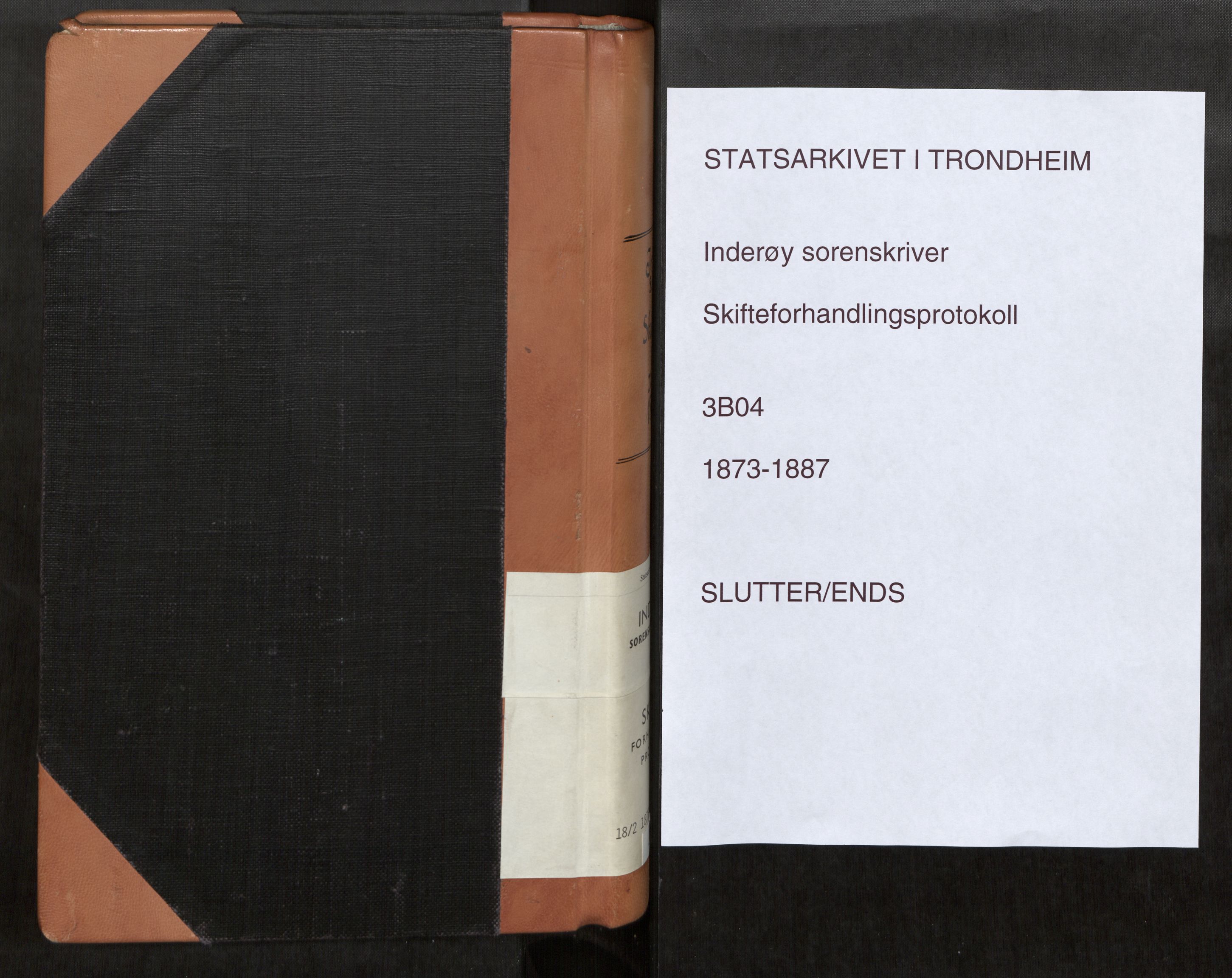 Inderøy sorenskriveri, AV/SAT-A-4147/1/3/3B/L0004: Skifteforhandlingsprotokoll, 1873-1887