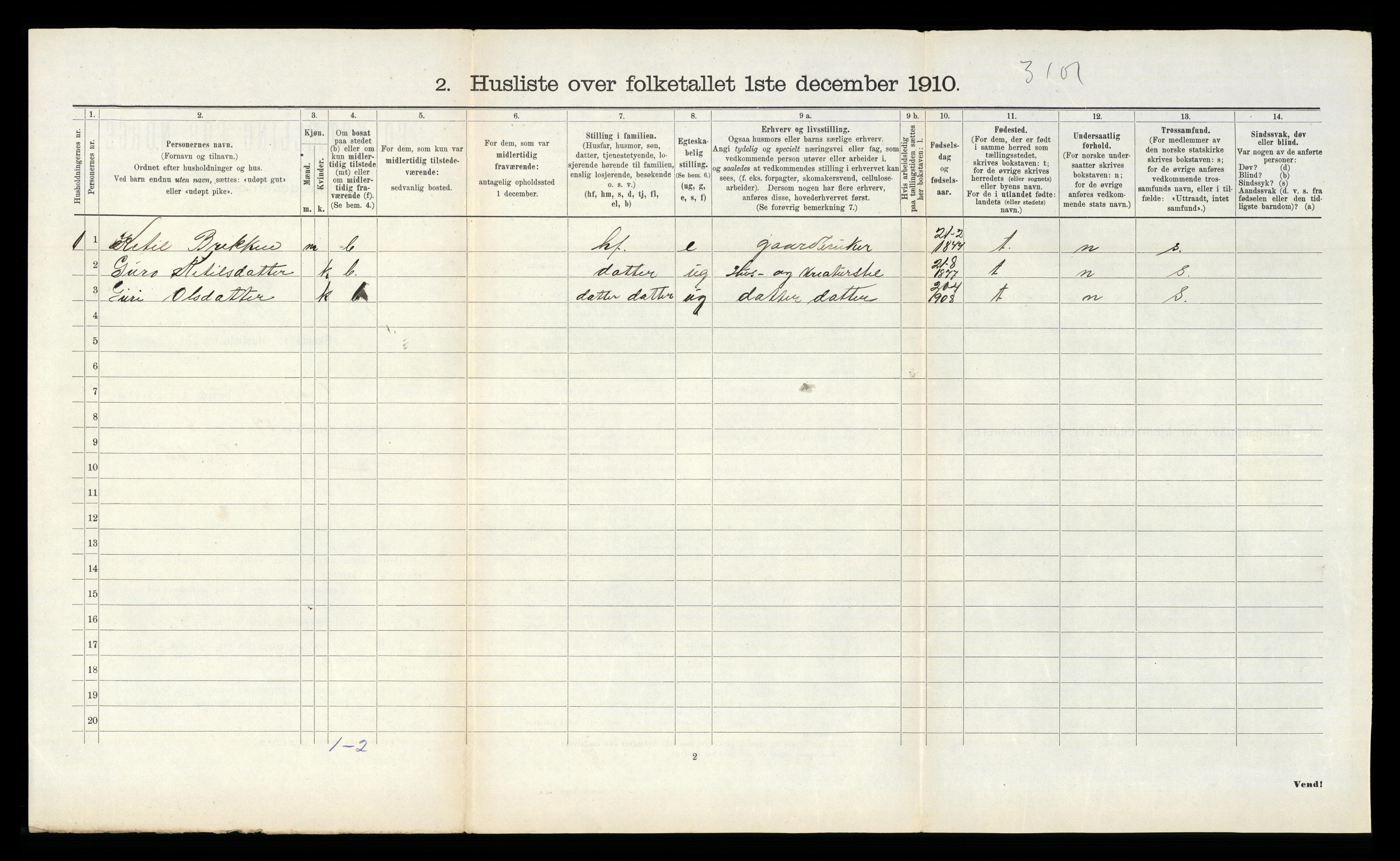 RA, 1910 census for Vinje, 1910, p. 397