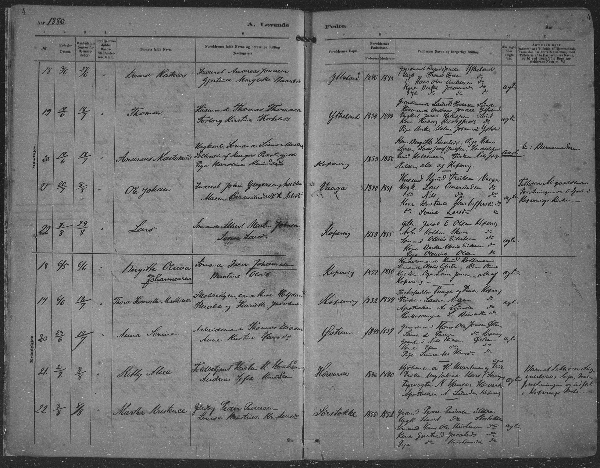 Kopervik sokneprestkontor, AV/SAST-A-101850/H/Ha/Haa/L0001: Parish register (official) no. A 1, 1880-1919, p. 4