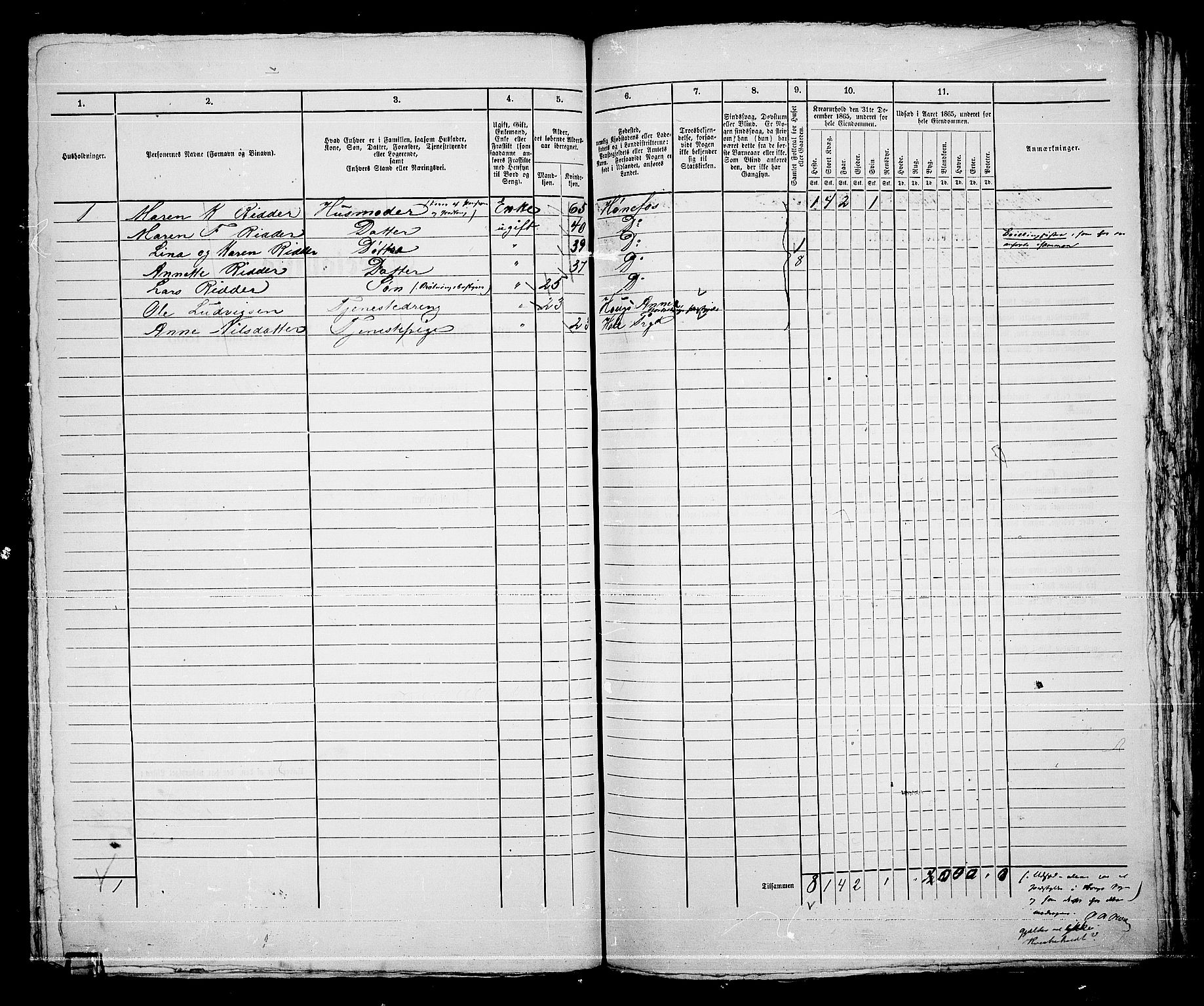 RA, 1865 census for Norderhov/Hønefoss, 1865, p. 149