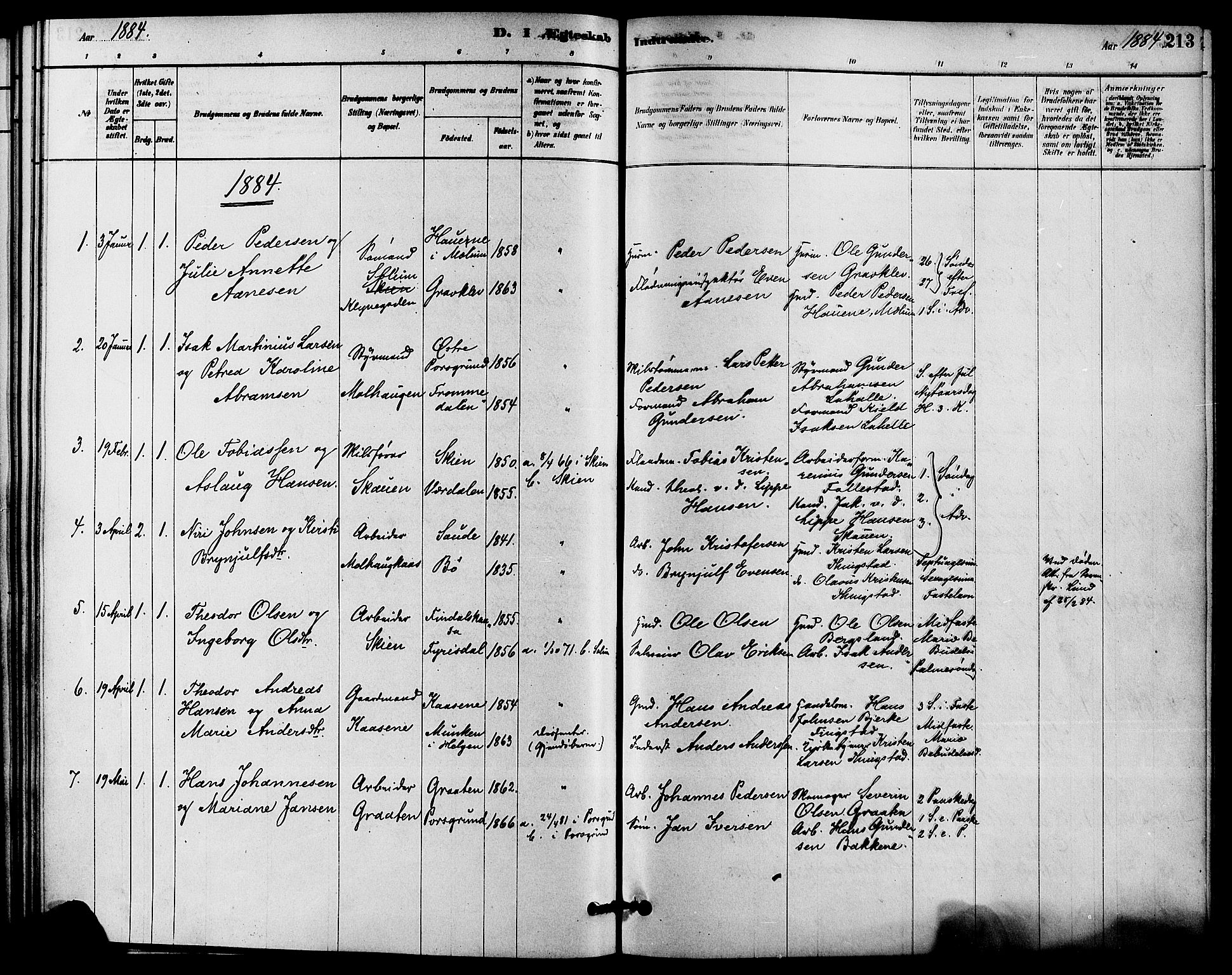 Solum kirkebøker, SAKO/A-306/F/Fa/L0009: Parish register (official) no. I 9, 1877-1887, p. 213