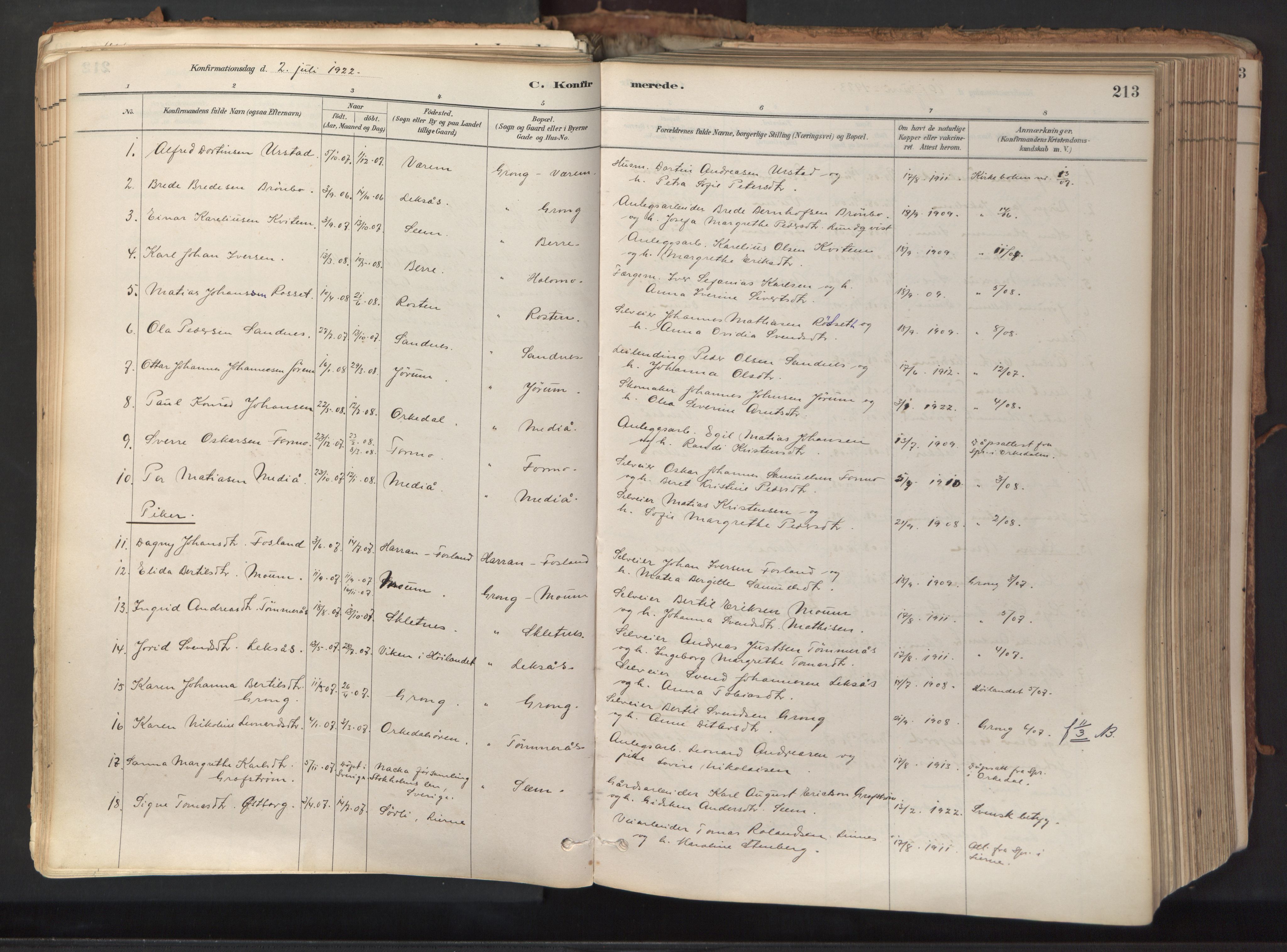 Ministerialprotokoller, klokkerbøker og fødselsregistre - Nord-Trøndelag, SAT/A-1458/758/L0519: Parish register (official) no. 758A04, 1880-1926, p. 213