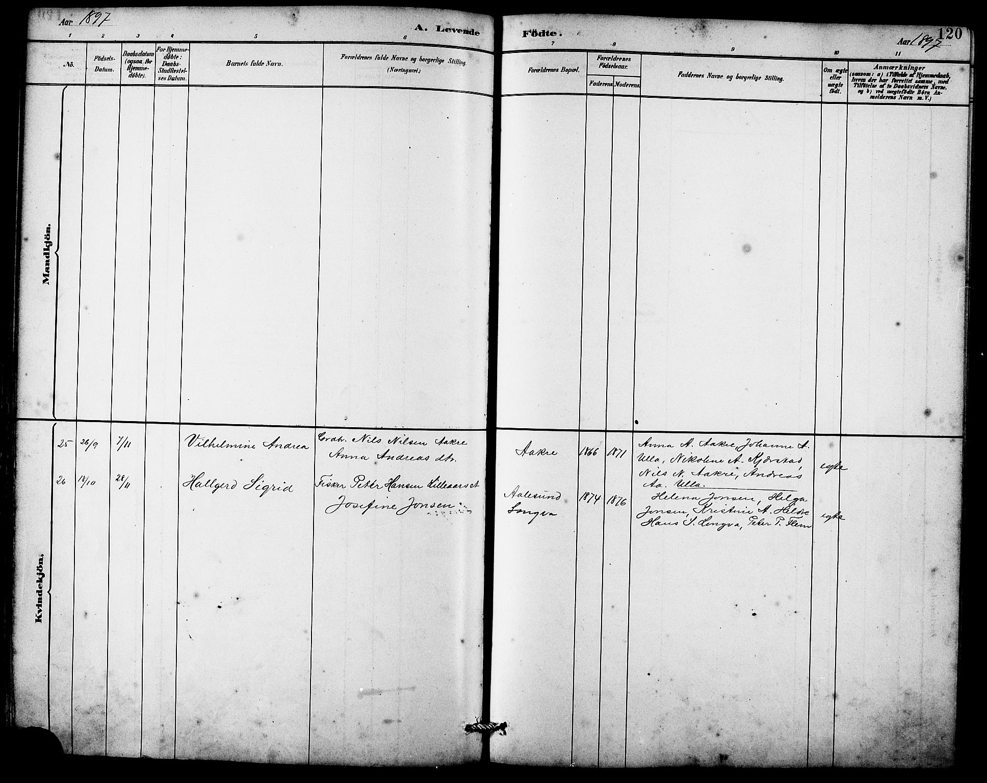 Ministerialprotokoller, klokkerbøker og fødselsregistre - Møre og Romsdal, AV/SAT-A-1454/536/L0510: Parish register (copy) no. 536C05, 1881-1898, p. 120