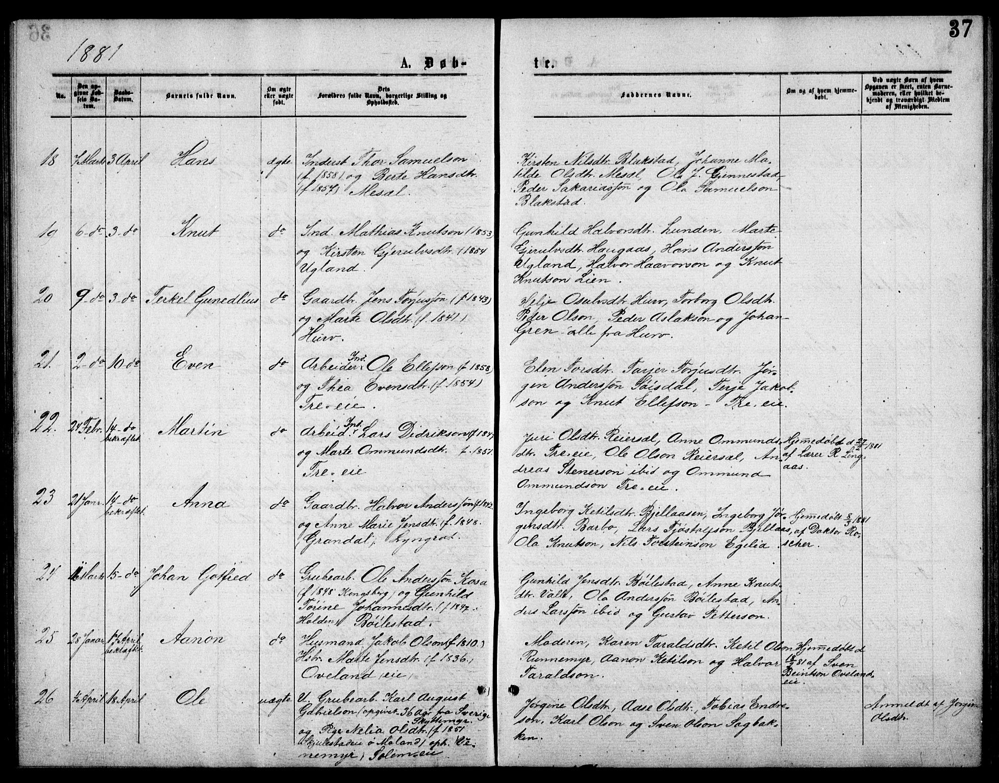 Froland sokneprestkontor, AV/SAK-1111-0013/F/Fb/L0009: Parish register (copy) no. B 9, 1875-1893, p. 37