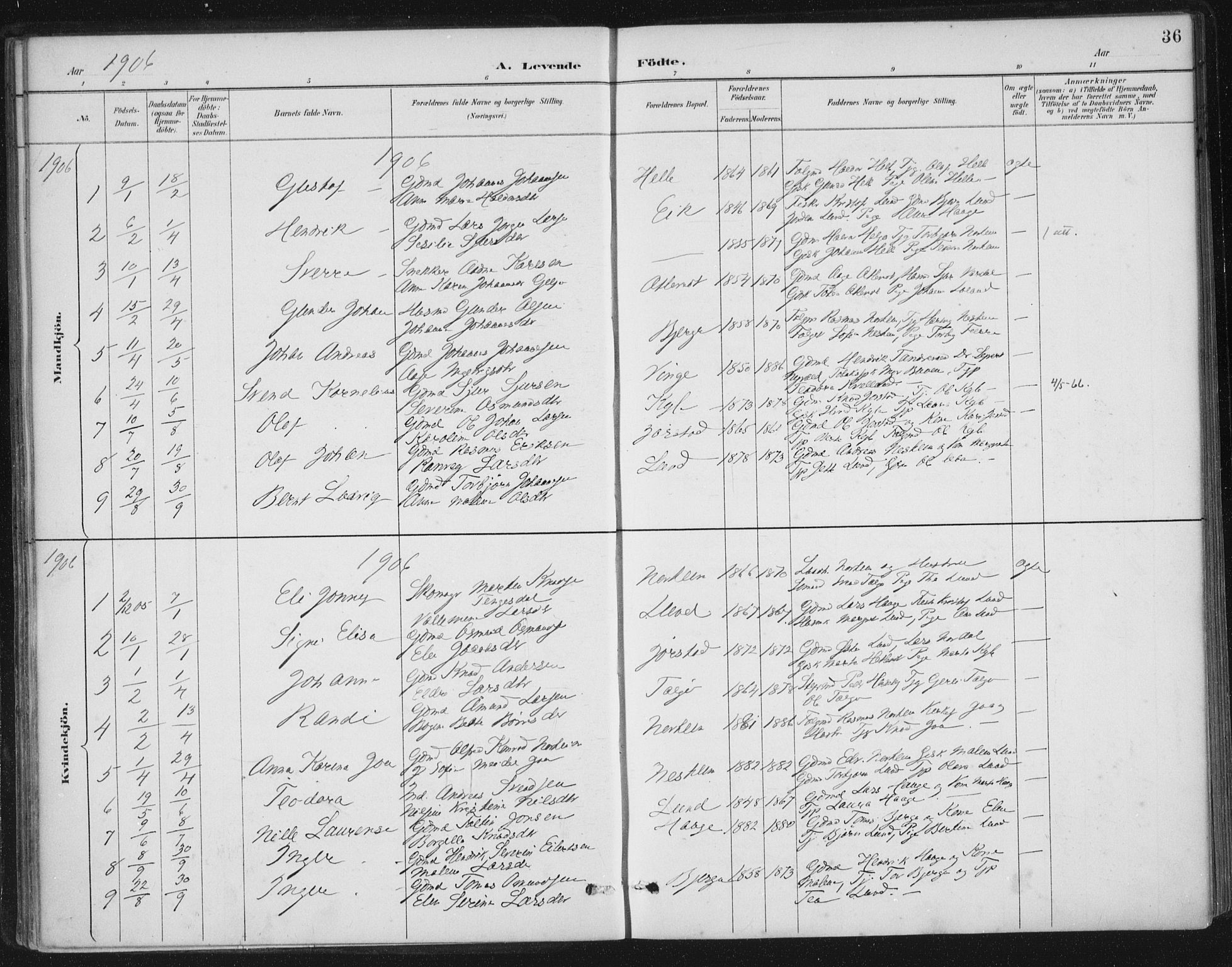 Nedstrand sokneprestkontor, AV/SAST-A-101841/01/IV: Parish register (official) no. A 13, 1887-1915, p. 36