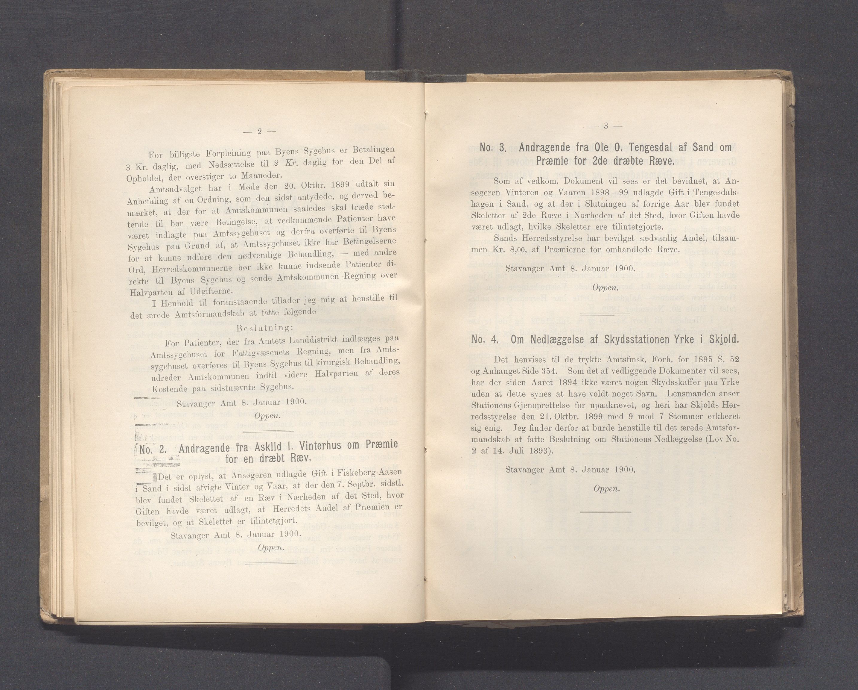 Rogaland fylkeskommune - Fylkesrådmannen , IKAR/A-900/A, 1900, p. 61