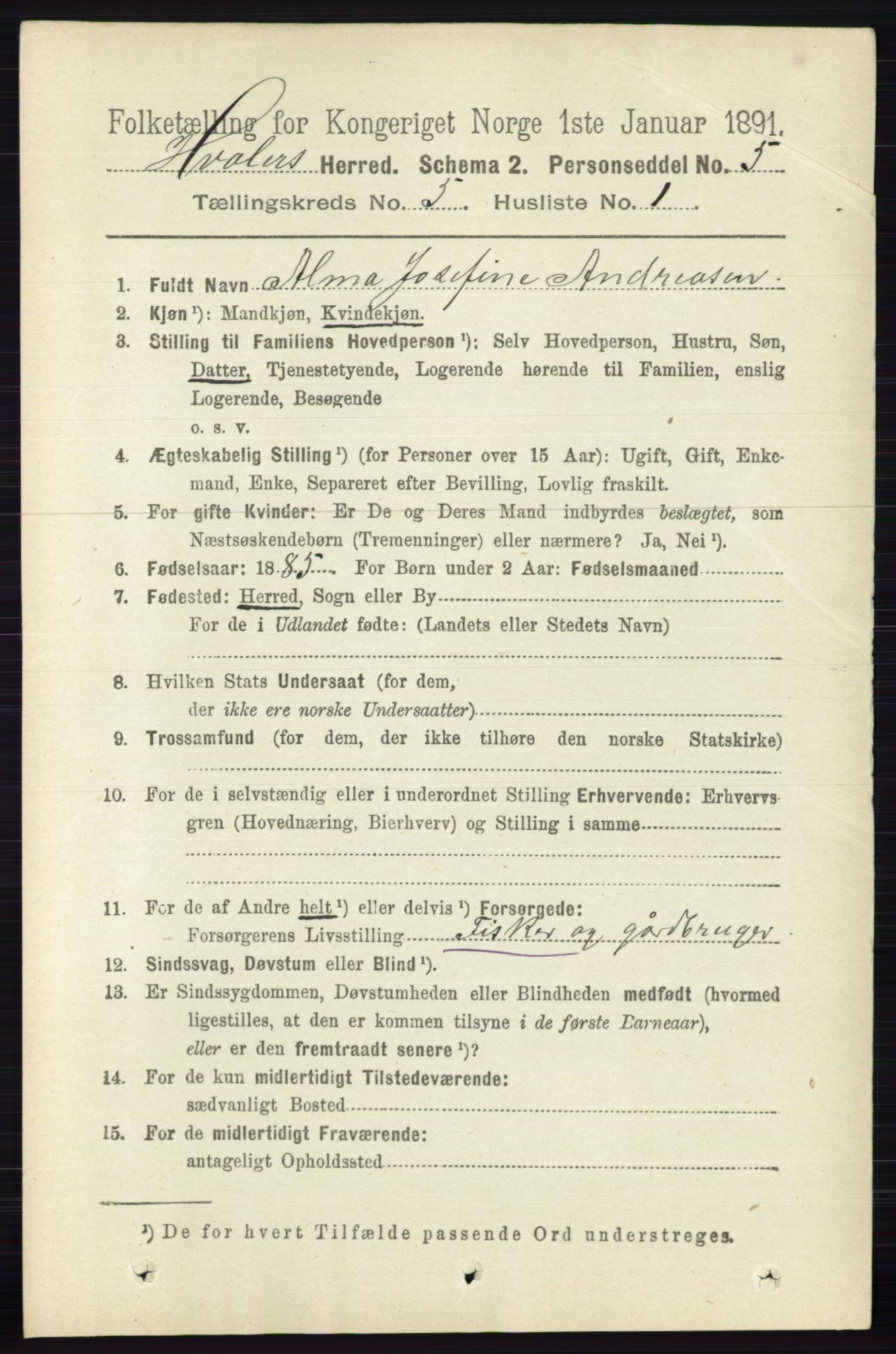 RA, 1891 census for 0111 Hvaler, 1891, p. 3189