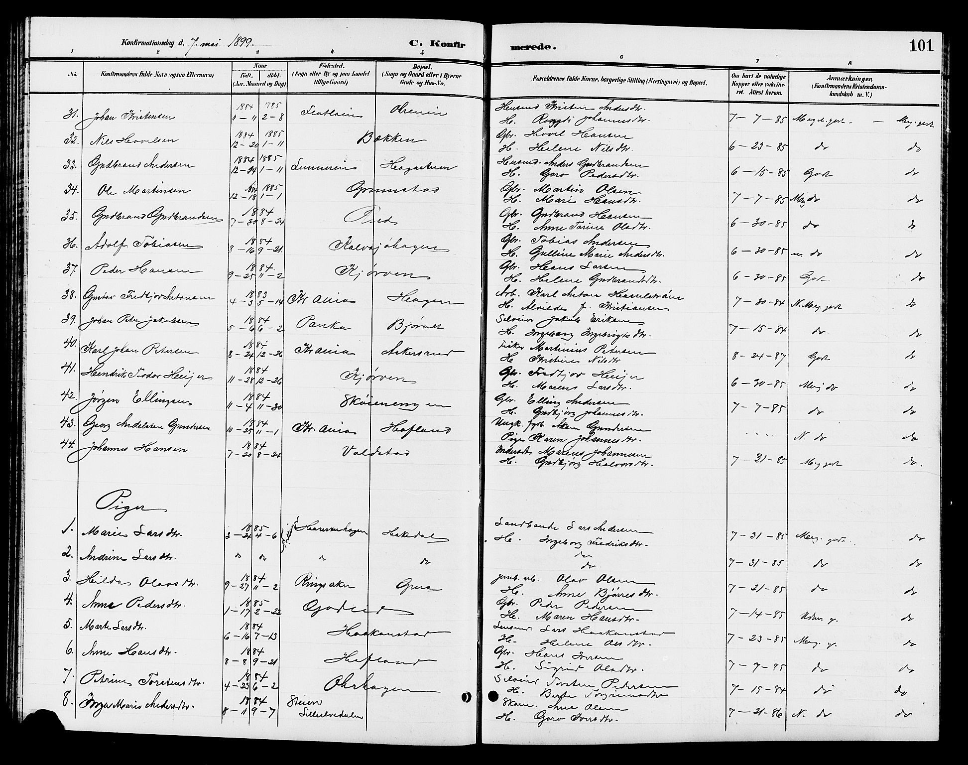 Jevnaker prestekontor, SAH/PREST-116/H/Ha/Hab/L0003: Parish register (copy) no. 3, 1896-1909, p. 101