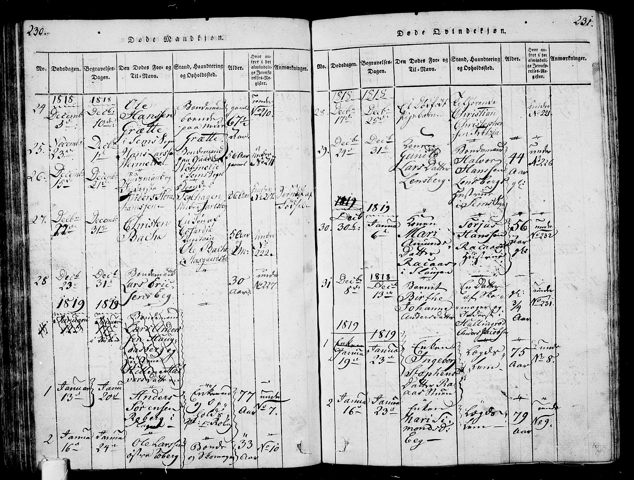 Sem kirkebøker, AV/SAKO-A-5/G/Ga/L0001: Parish register (copy) no. I 1, 1814-1825, p. 230-231