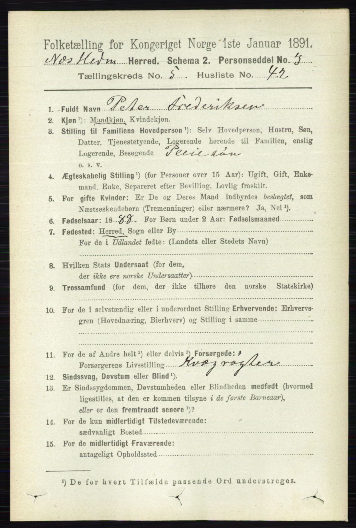 RA, 1891 census for 0411 Nes, 1891, p. 2852