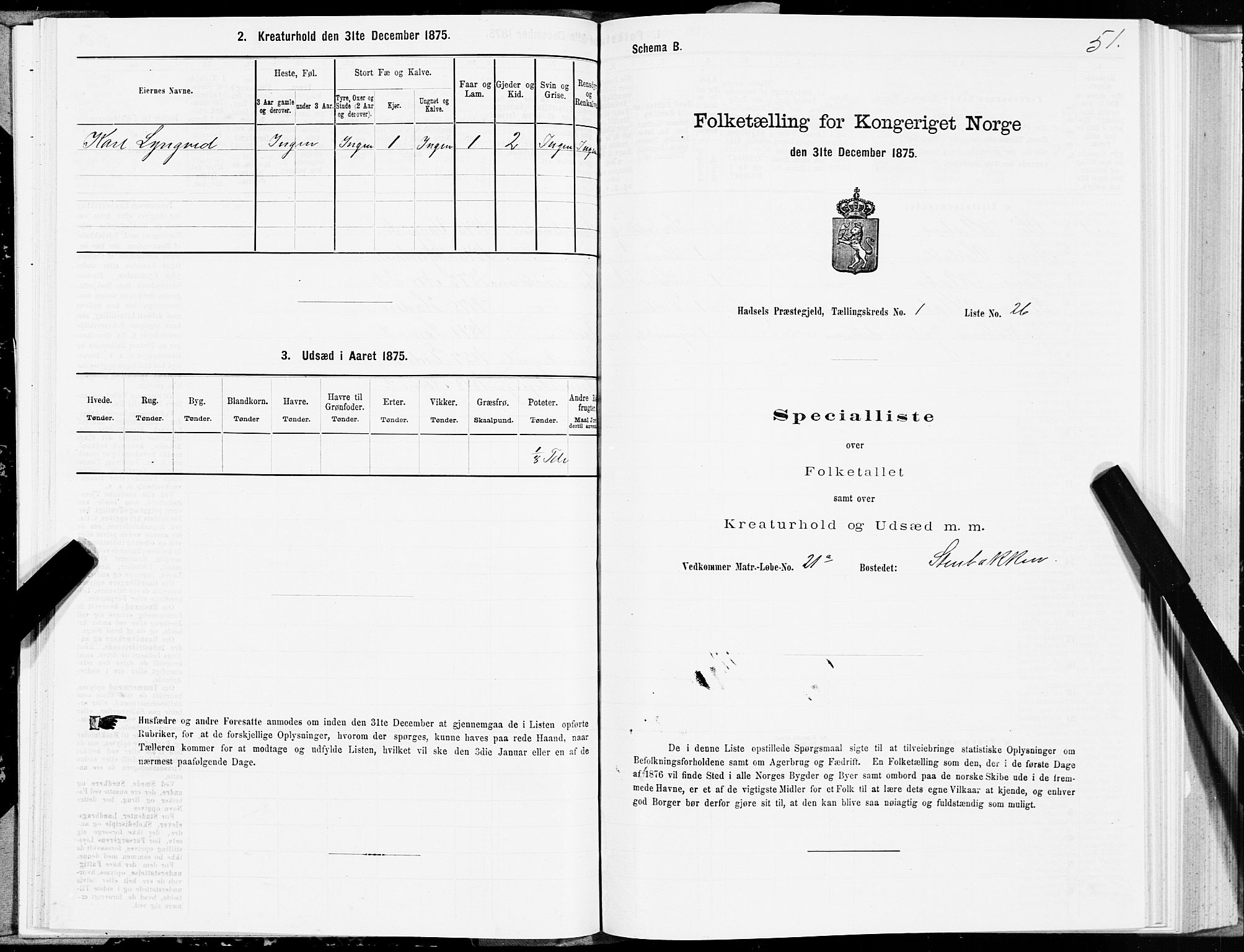 SAT, 1875 census for 1866P Hadsel, 1875, p. 1051