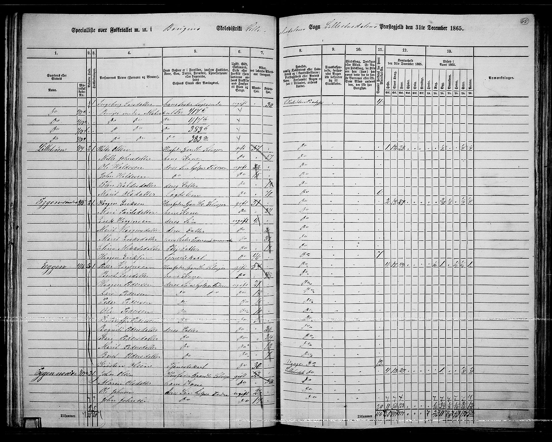RA, 1865 census for Lille Elvedalen, 1865, p. 59