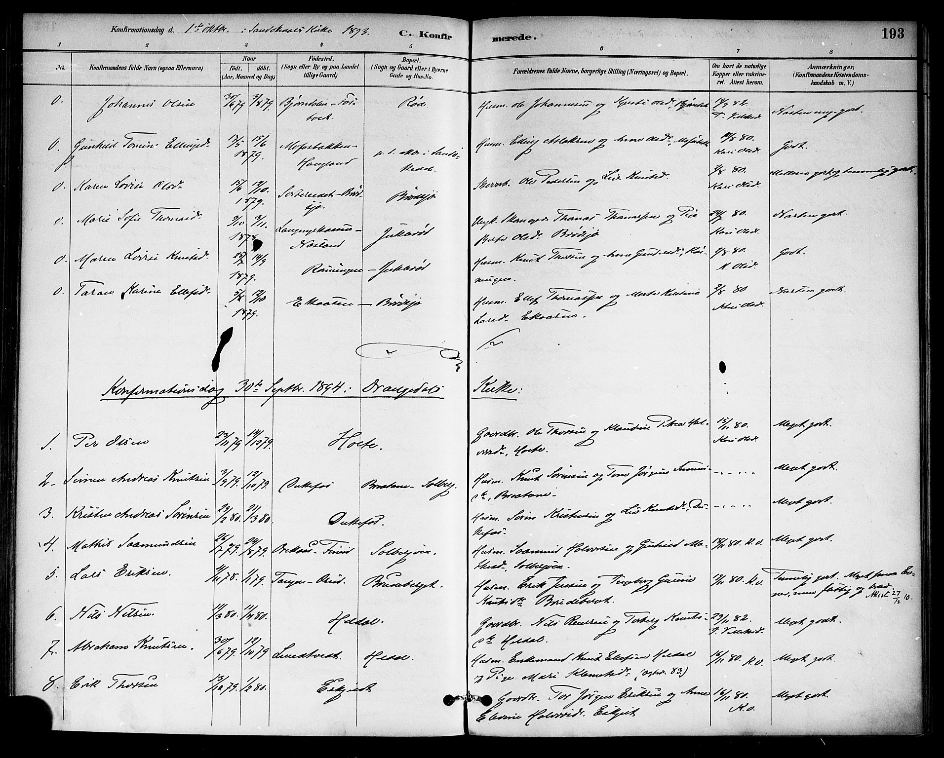Drangedal kirkebøker, SAKO/A-258/F/Fa/L0010: Parish register (official) no. 10 /1, 1885-1894, p. 193