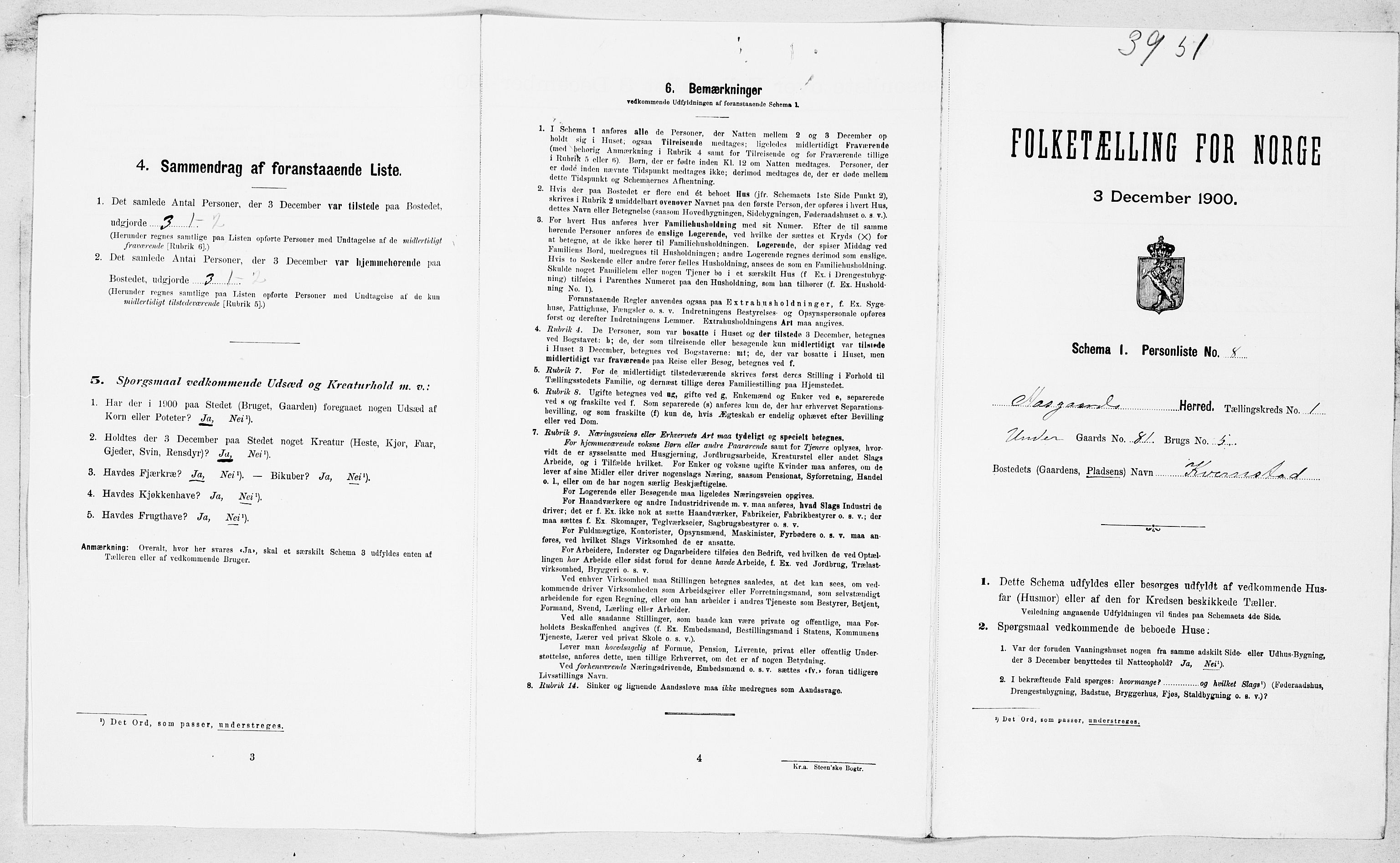 SAT, 1900 census for Åsskard, 1900, p. 28