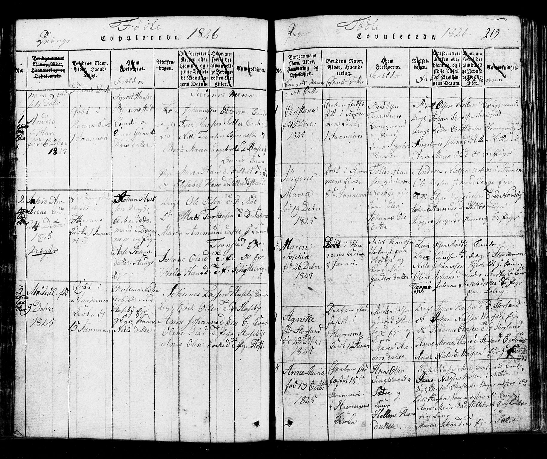 Hurum kirkebøker, SAKO/A-229/G/Ga/L0001: Parish register (copy) no. I 1, 1816-1826, p. 219
