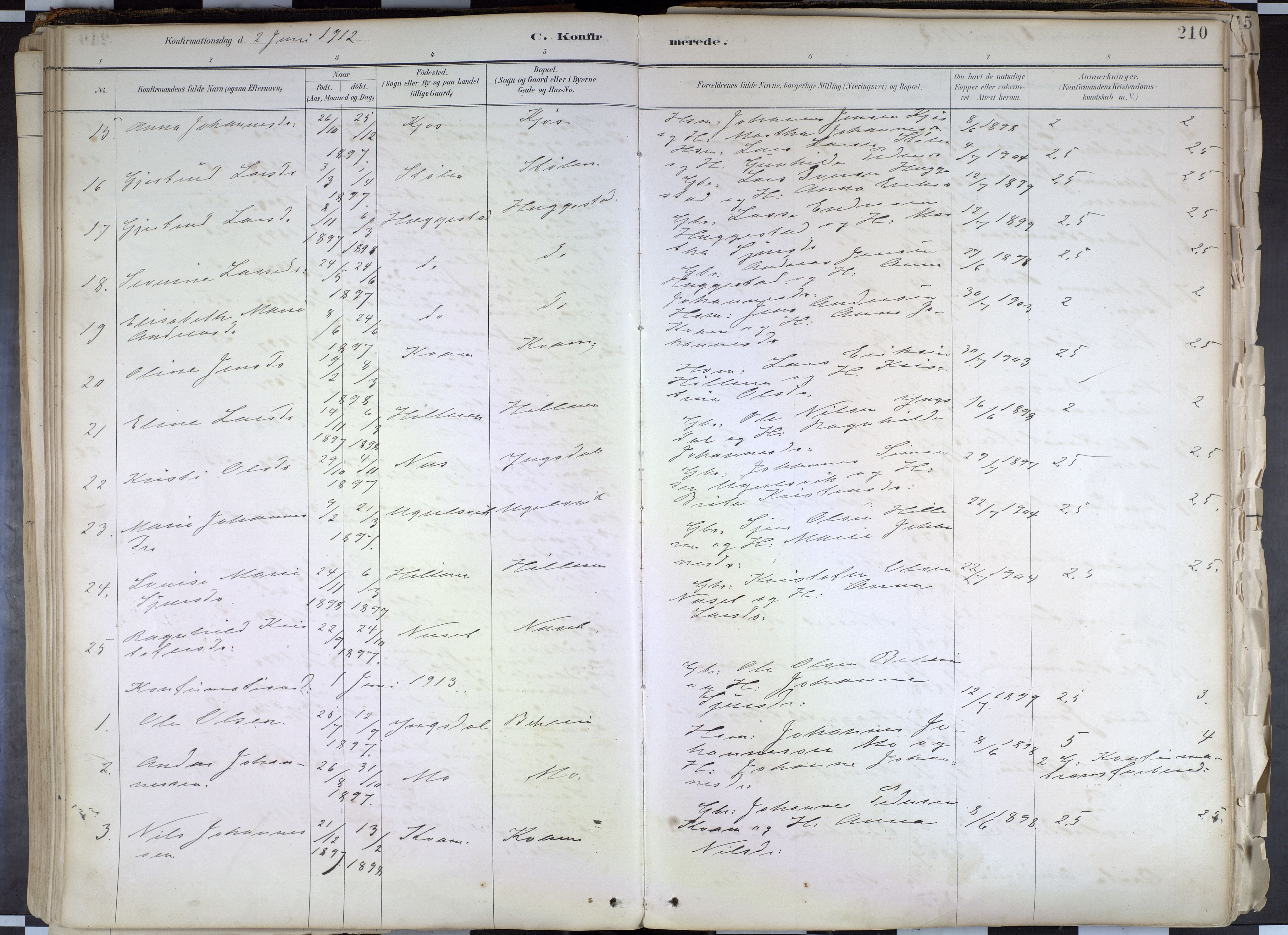 Hafslo sokneprestembete, SAB/A-80301/H/Haa/Haab/L0001: Parish register (official) no. B 1, 1886-1945, p. 210
