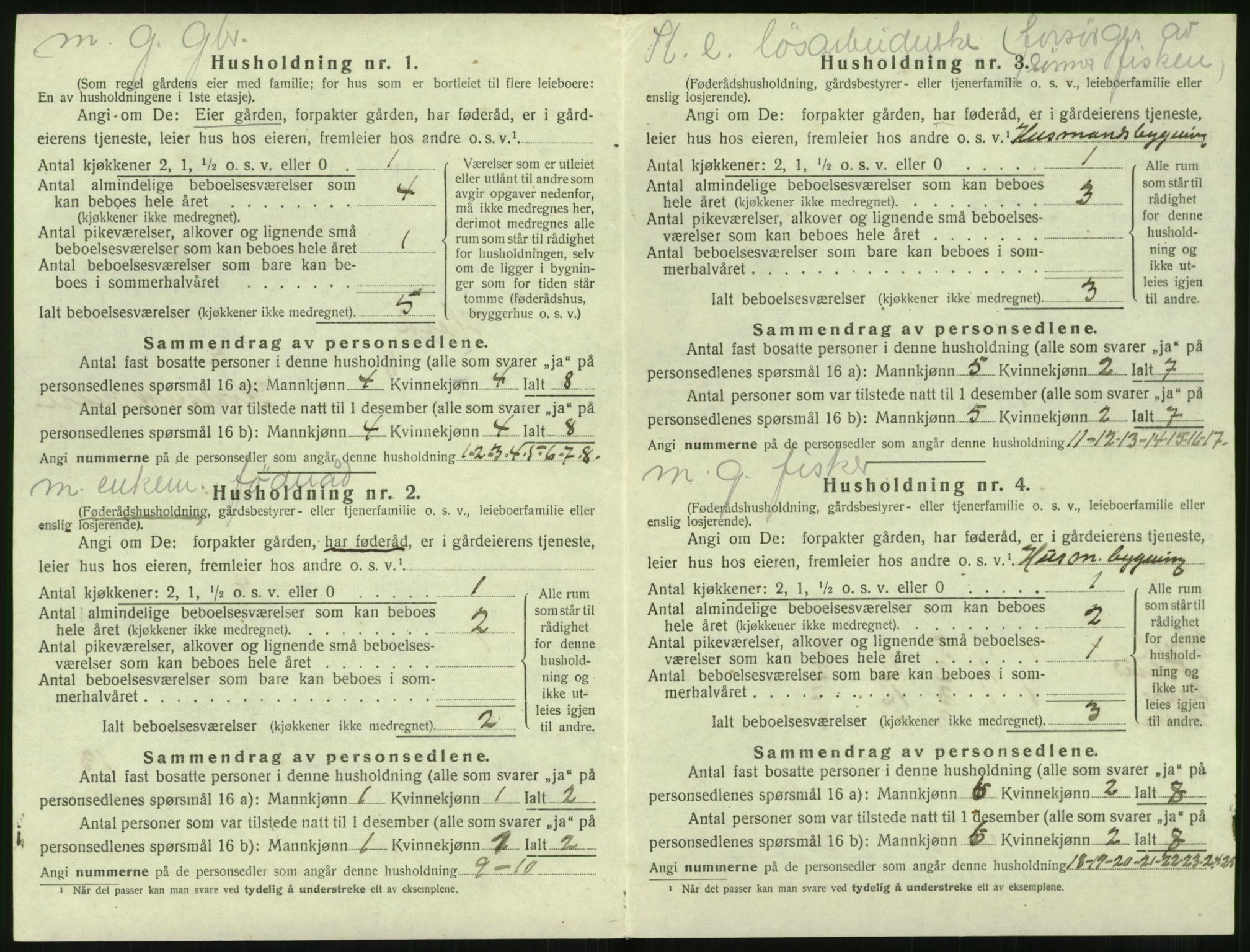 SAT, 1920 census for Herøy (MR), 1920, p. 176