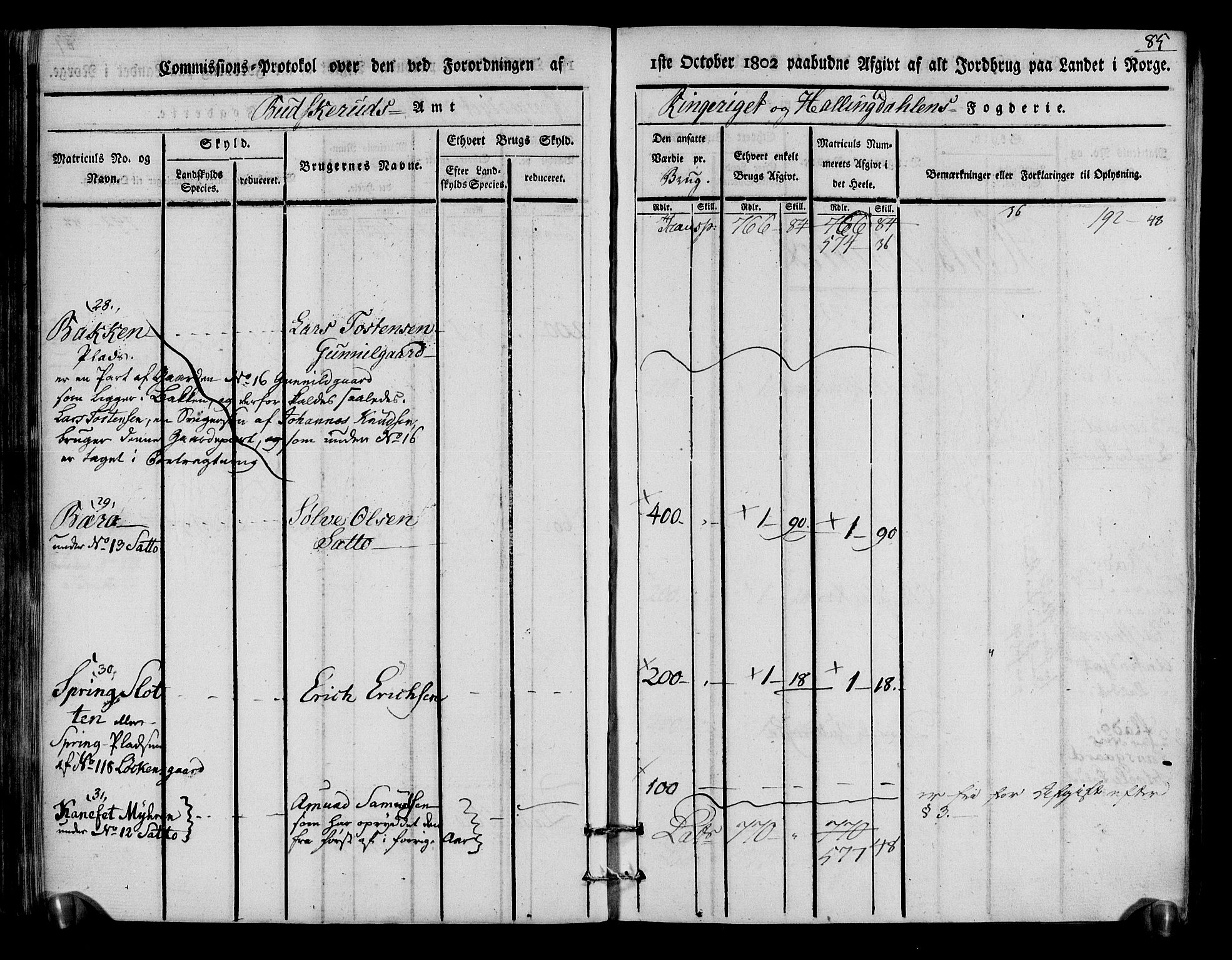 Rentekammeret inntil 1814, Realistisk ordnet avdeling, AV/RA-EA-4070/N/Ne/Nea/L0048: Ringerike og Hallingdal fogderi. Kommisjonsprotokoll for Ål prestegjeld, 1803, p. 89