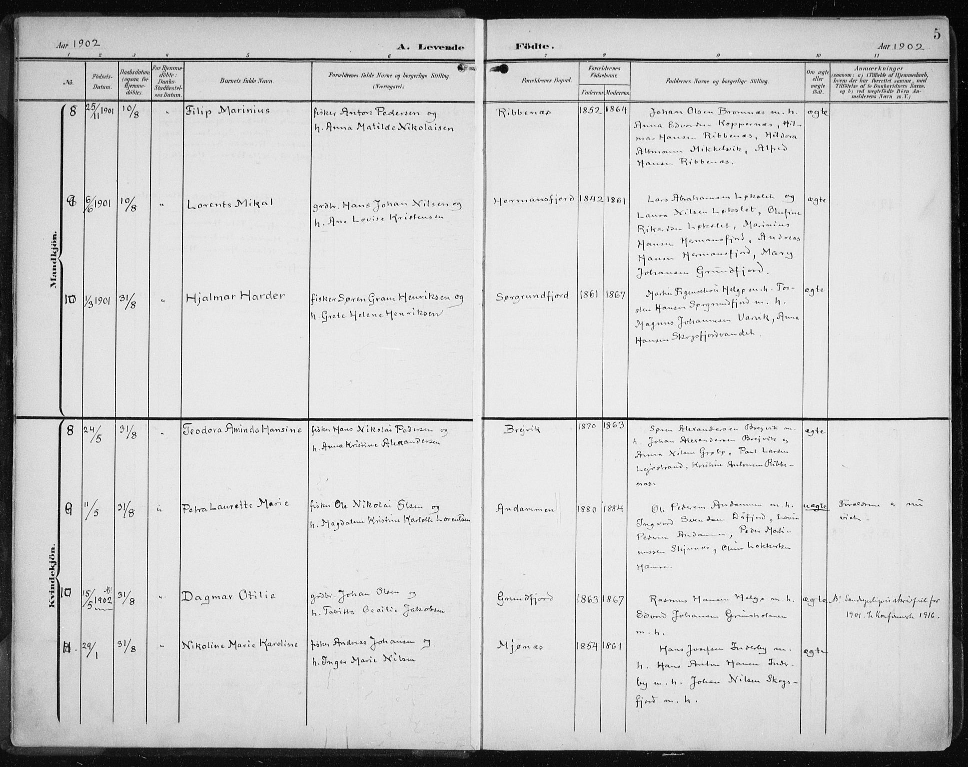 Karlsøy sokneprestembete, AV/SATØ-S-1299/H/Ha/Haa/L0013kirke: Parish register (official) no. 13, 1902-1916, p. 5