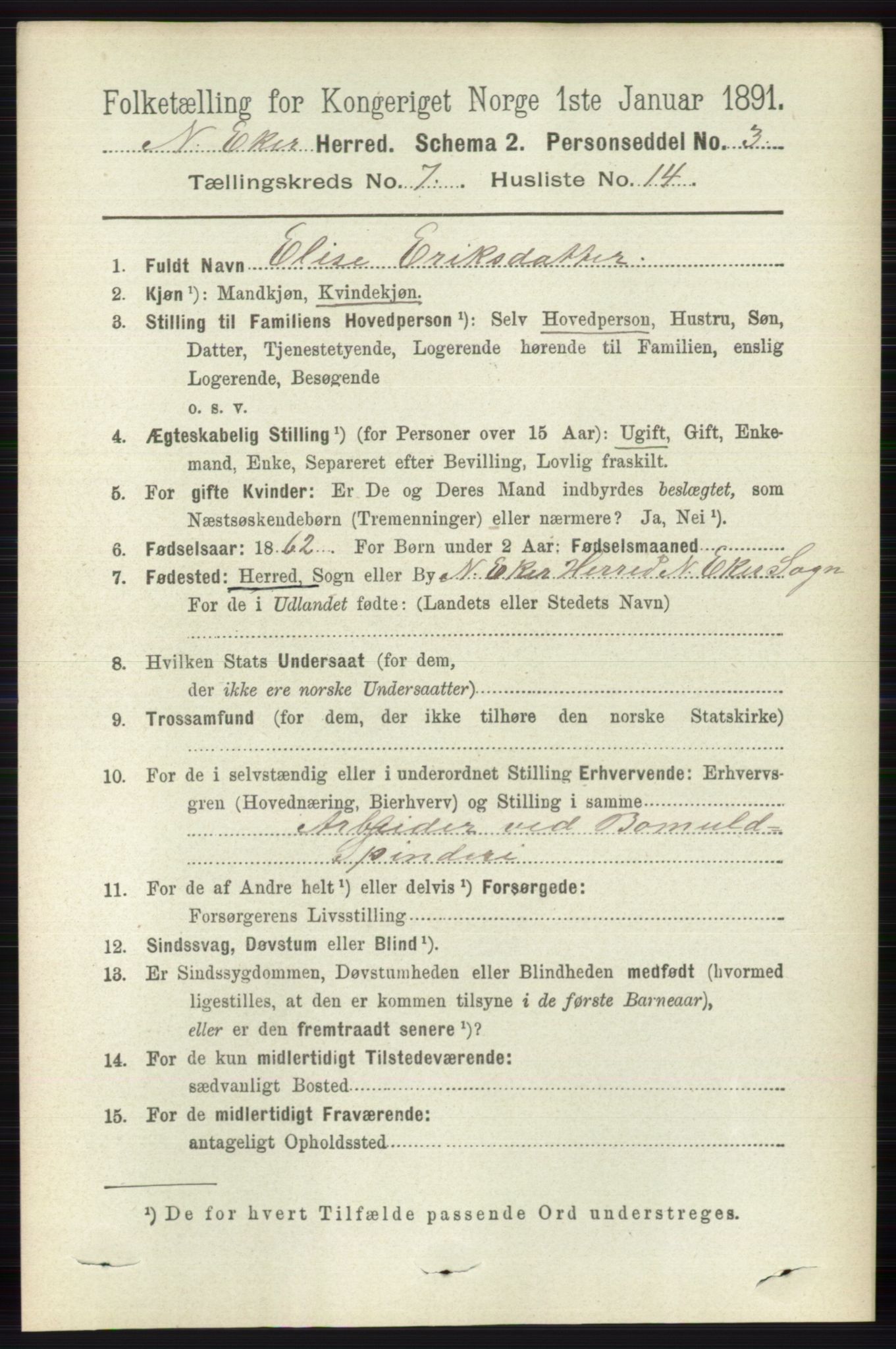 RA, 1891 census for 0625 Nedre Eiker, 1891, p. 3486