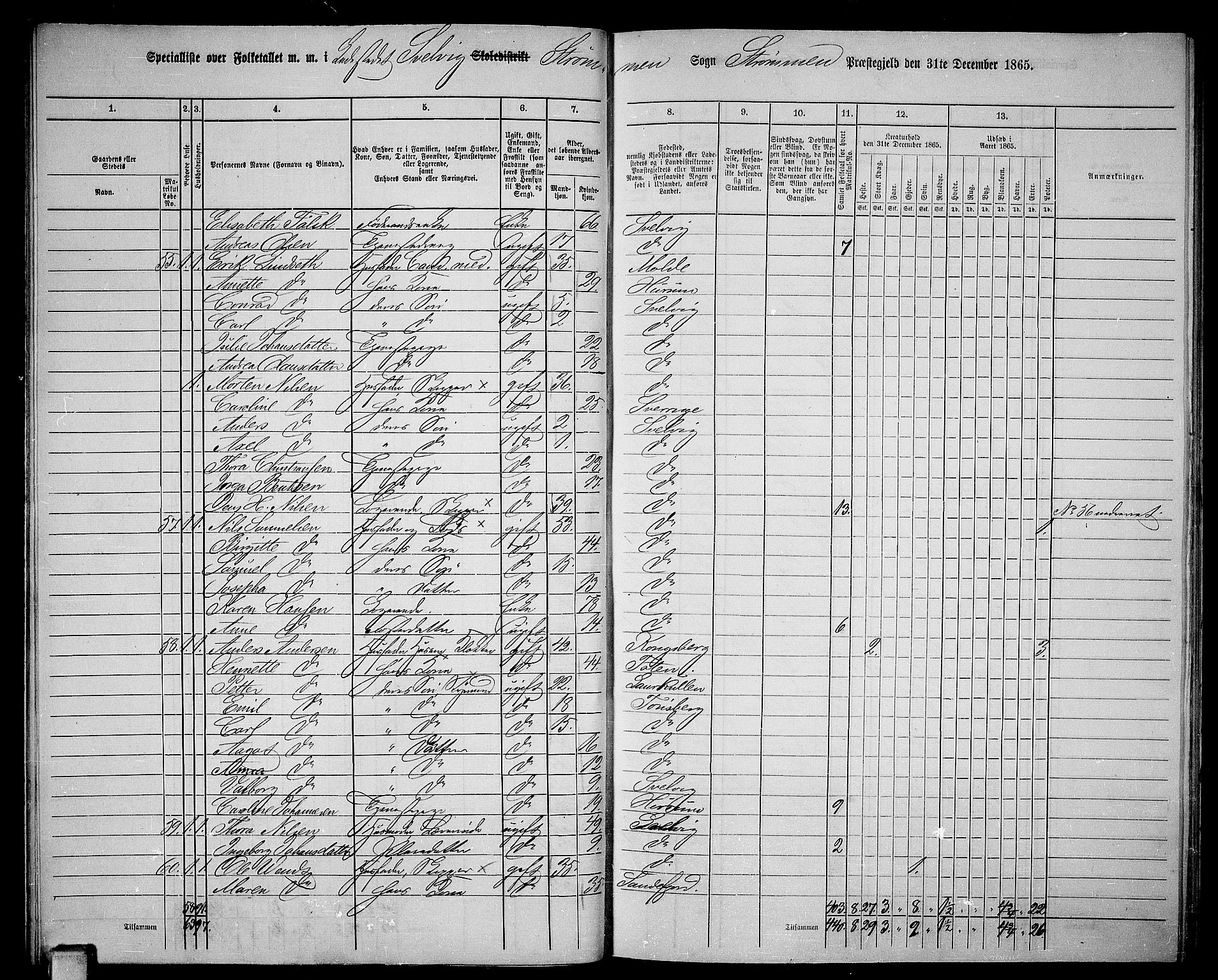 RA, 1865 census for Strømm, 1865, p. 76