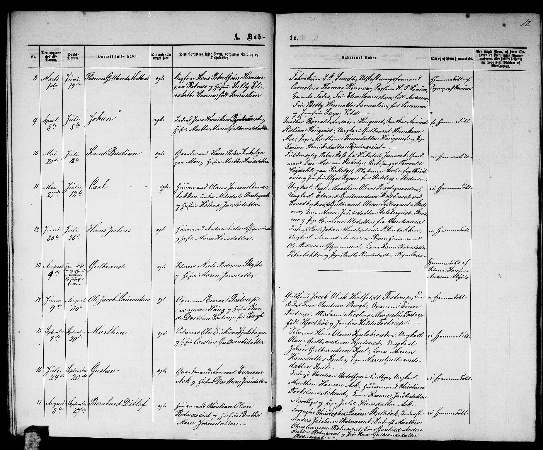 Nittedal prestekontor Kirkebøker, SAO/A-10365a/G/Ga/L0001: Parish register (copy) no. I 1, 1859-1878, p. 12