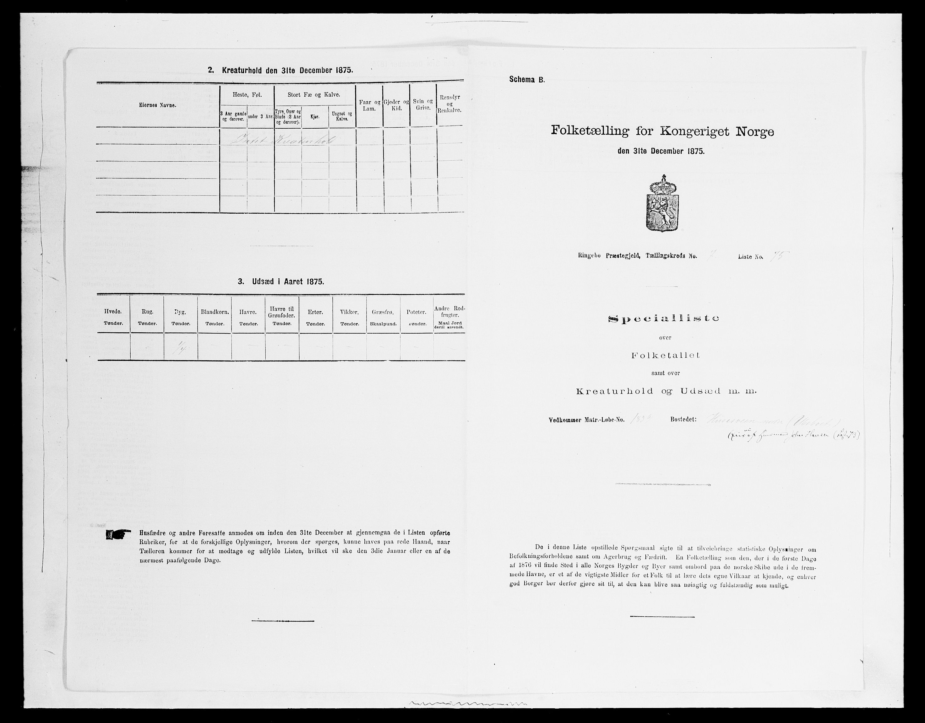 SAH, 1875 census for 0520P Ringebu, 1875, p. 1157