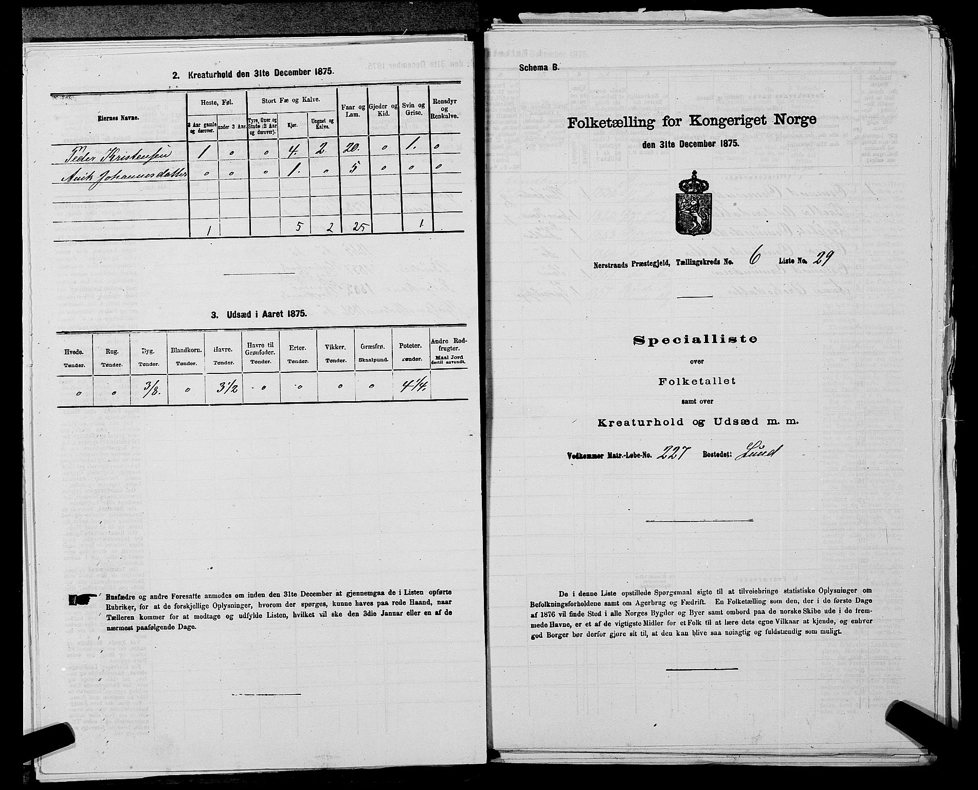 SAST, 1875 census for 1139P Nedstrand, 1875, p. 696