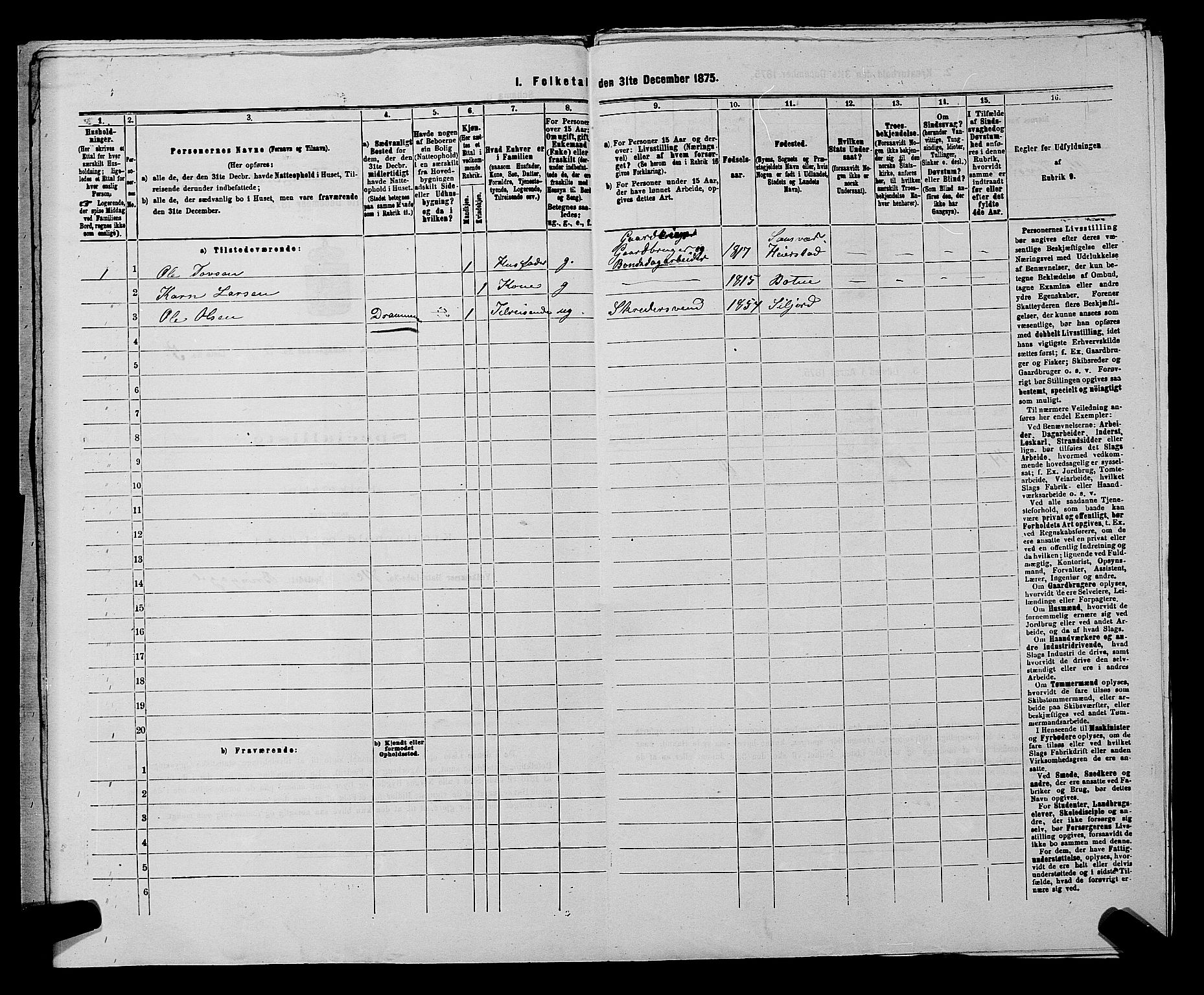 SAKO, 1875 census for 0715P Botne, 1875, p. 325