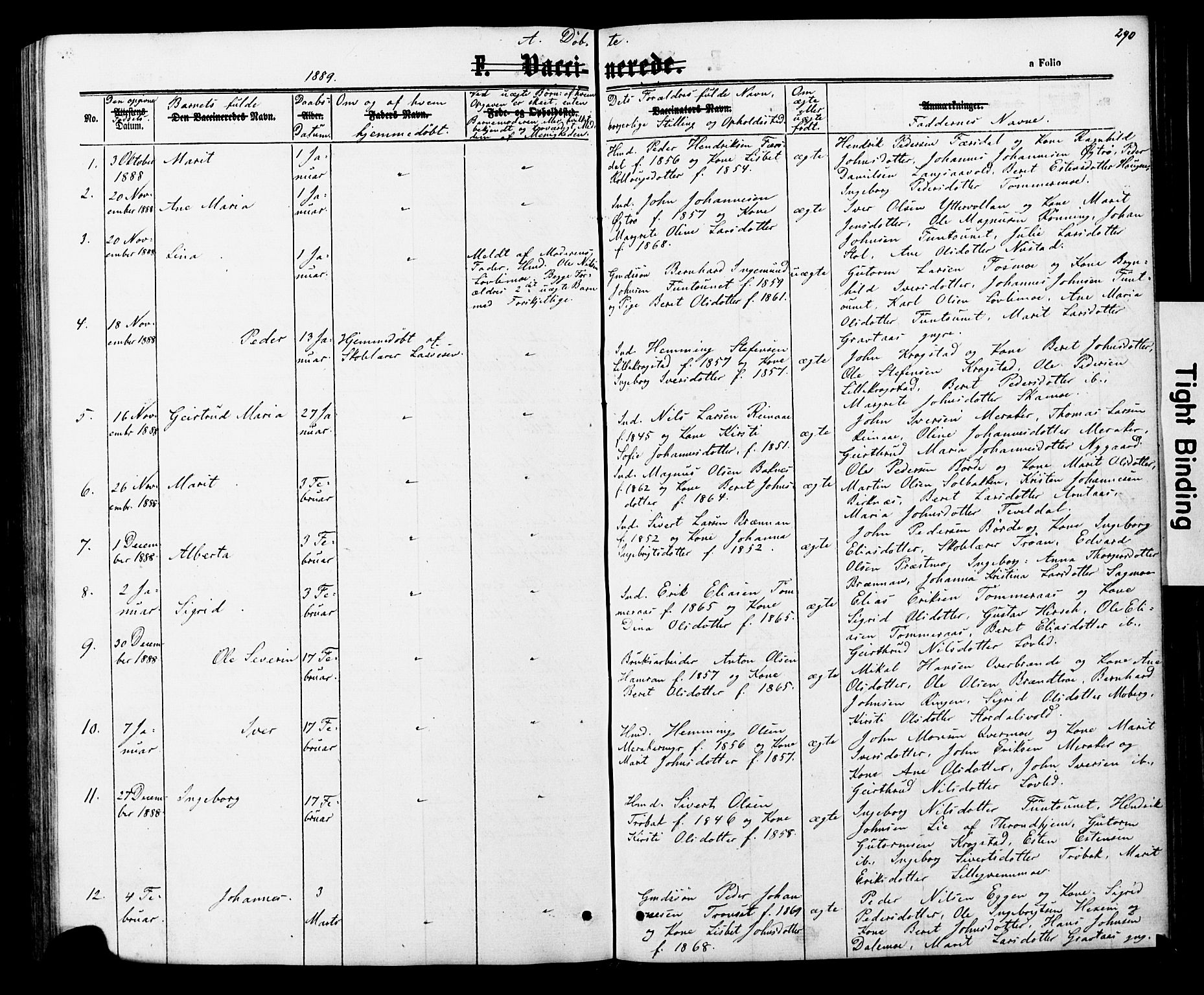 Ministerialprotokoller, klokkerbøker og fødselsregistre - Nord-Trøndelag, SAT/A-1458/706/L0049: Parish register (copy) no. 706C01, 1864-1895, p. 290
