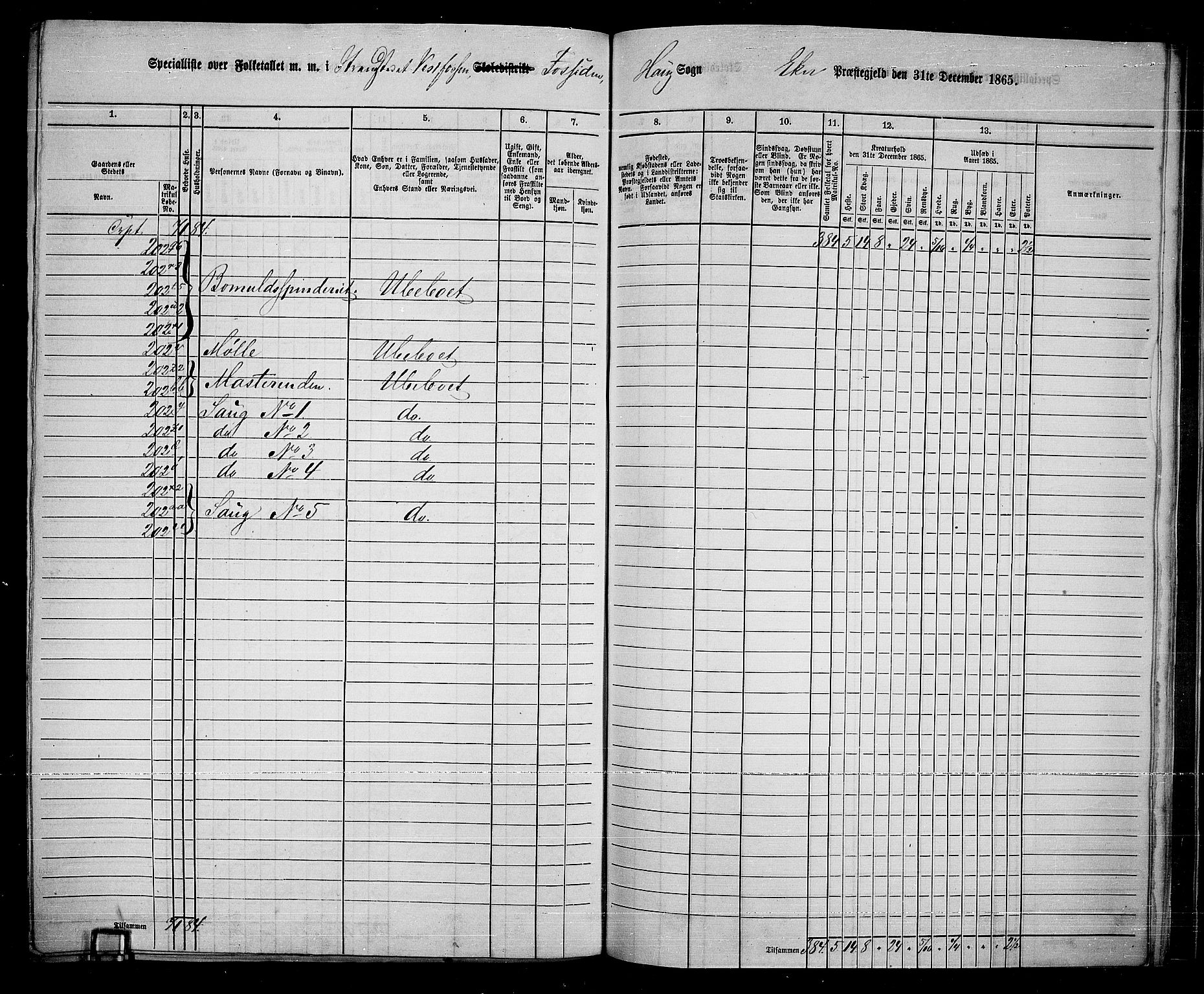 RA, 1865 census for Eiker, 1865, p. 238