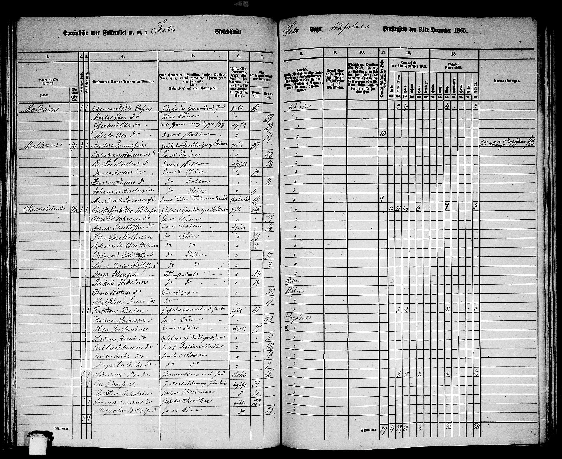 RA, 1865 census for Hafslo, 1865, p. 111