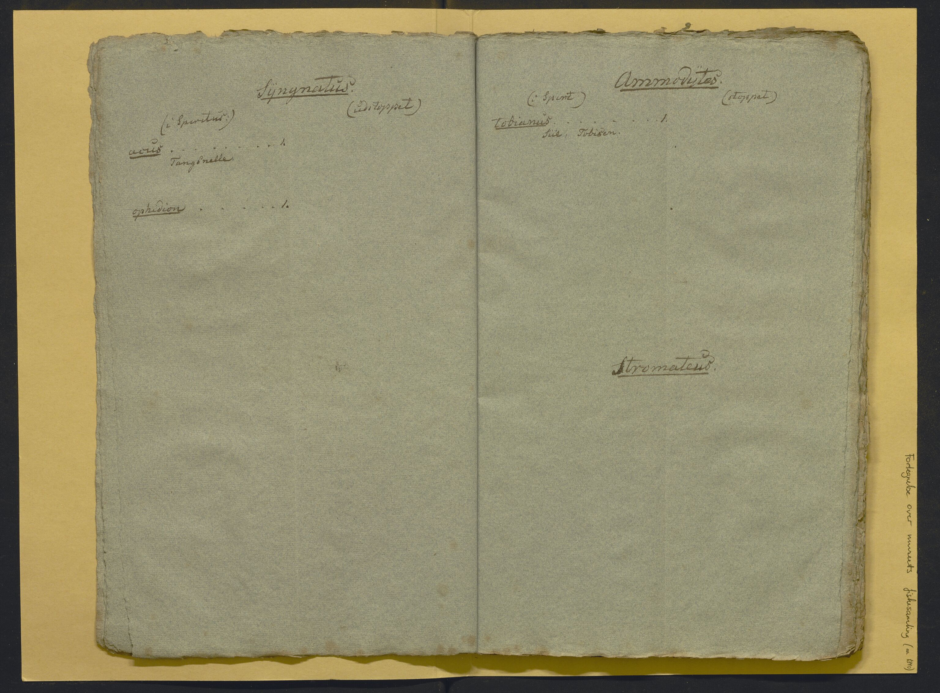 Bergens Museum, AV/SAB-A-17301/02/F/L0001: Kataloger over gjenstander og pergamentbrev , 1825-1880, p. 496