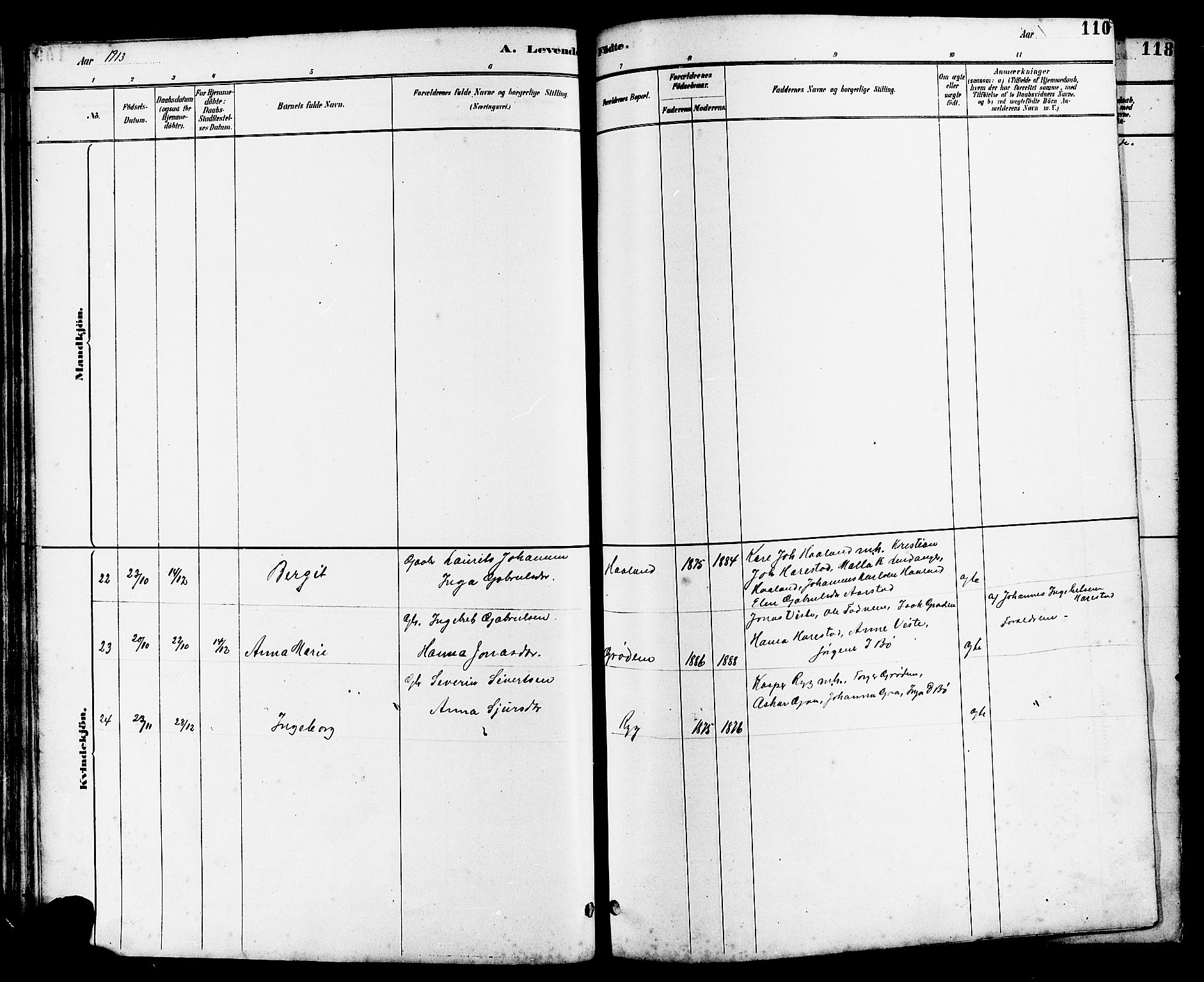 Hetland sokneprestkontor, AV/SAST-A-101826/30/30BB/L0006: Parish register (copy) no. B 6, 1878-1921, p. 110