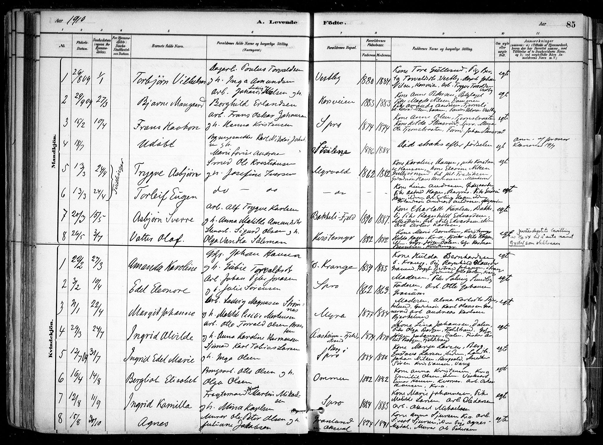 Nesodden prestekontor Kirkebøker, SAO/A-10013/F/Fa/L0009: Parish register (official) no. I 9, 1880-1915, p. 85