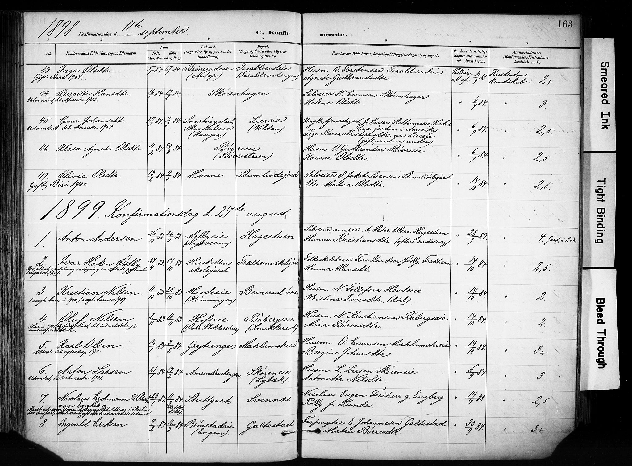 Biri prestekontor, SAH/PREST-096/H/Ha/Haa/L0009: Parish register (official) no. 9, 1887-1900, p. 163