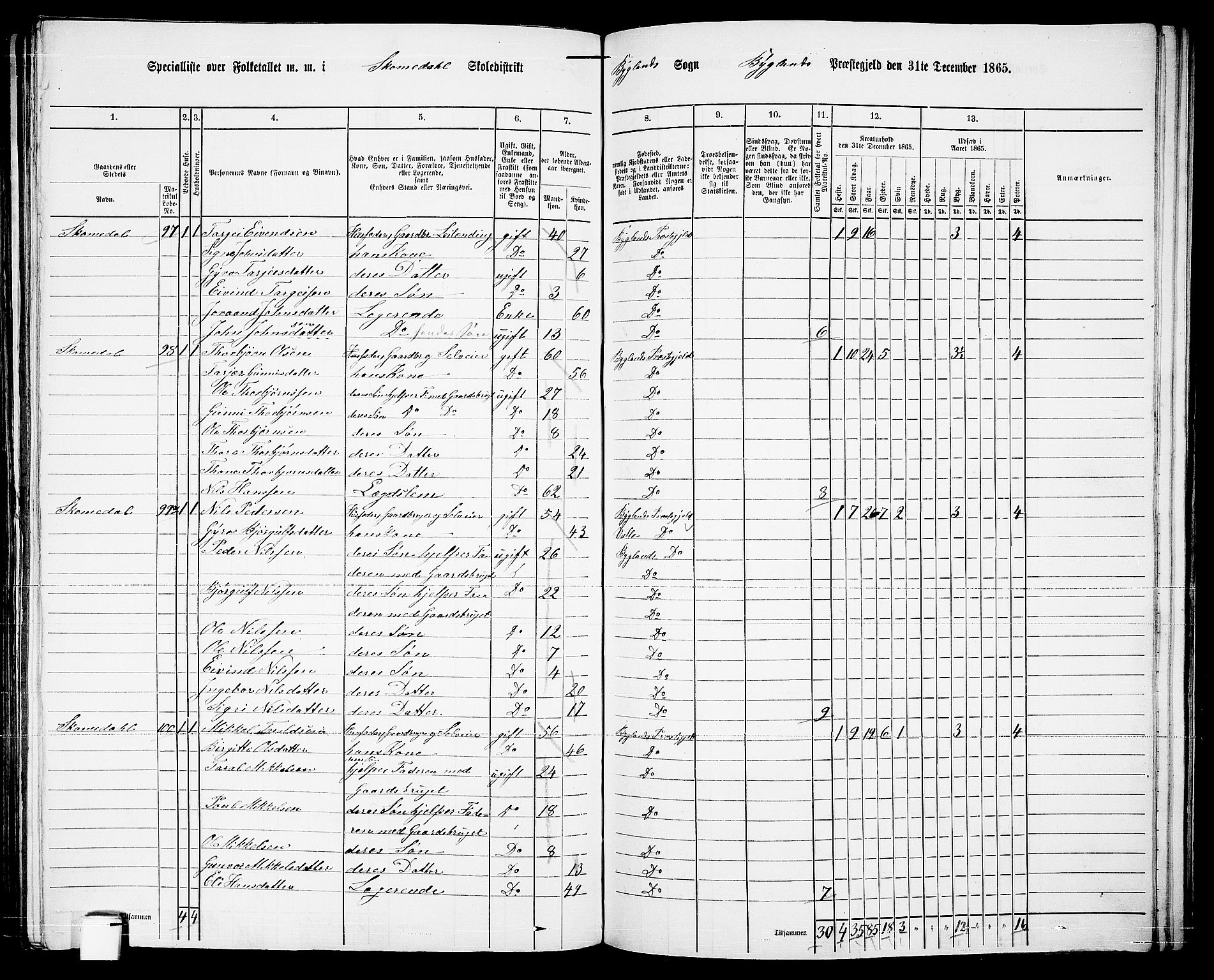 RA, 1865 census for Bygland, 1865, p. 52