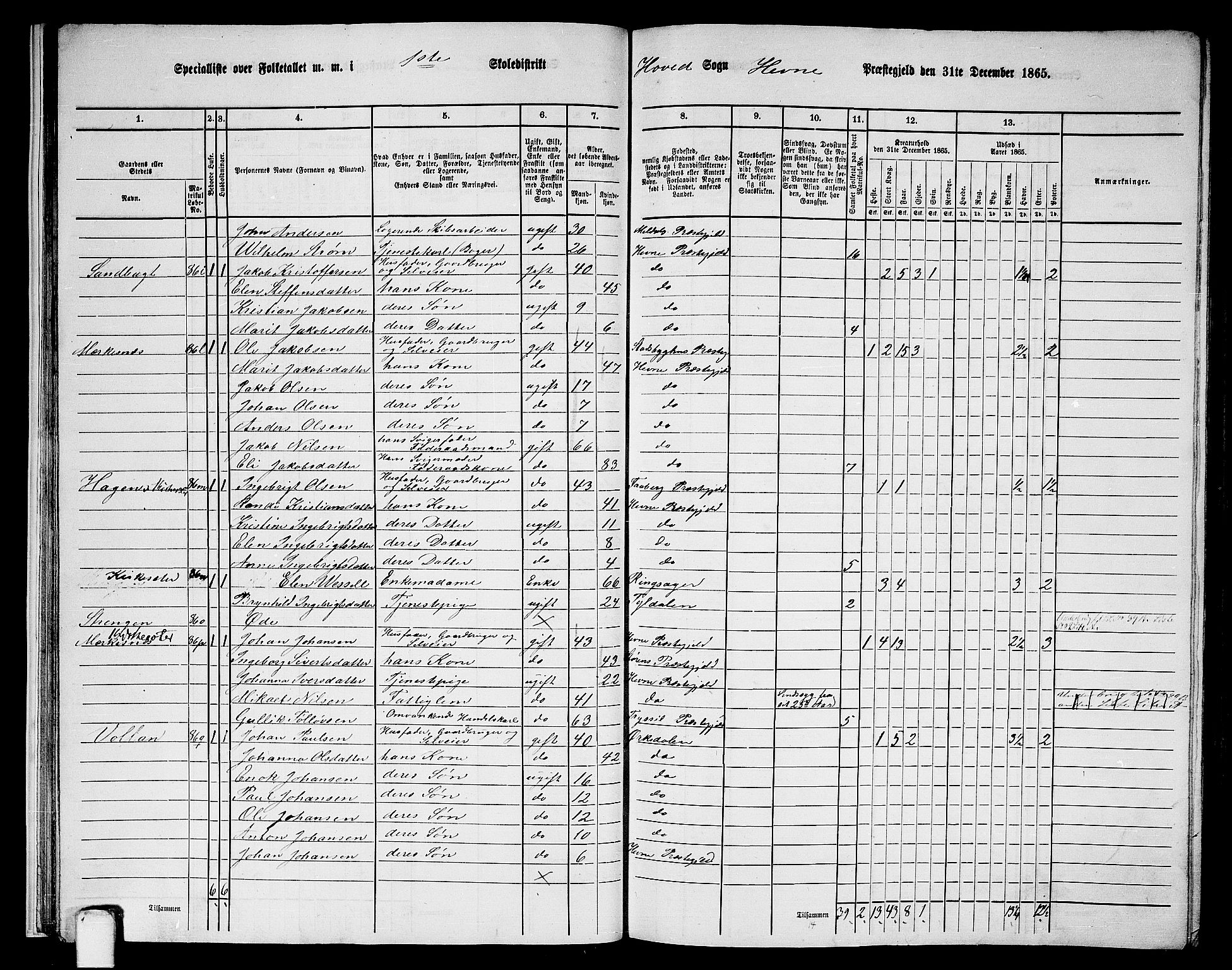 RA, 1865 census for Hemne, 1865, p. 22