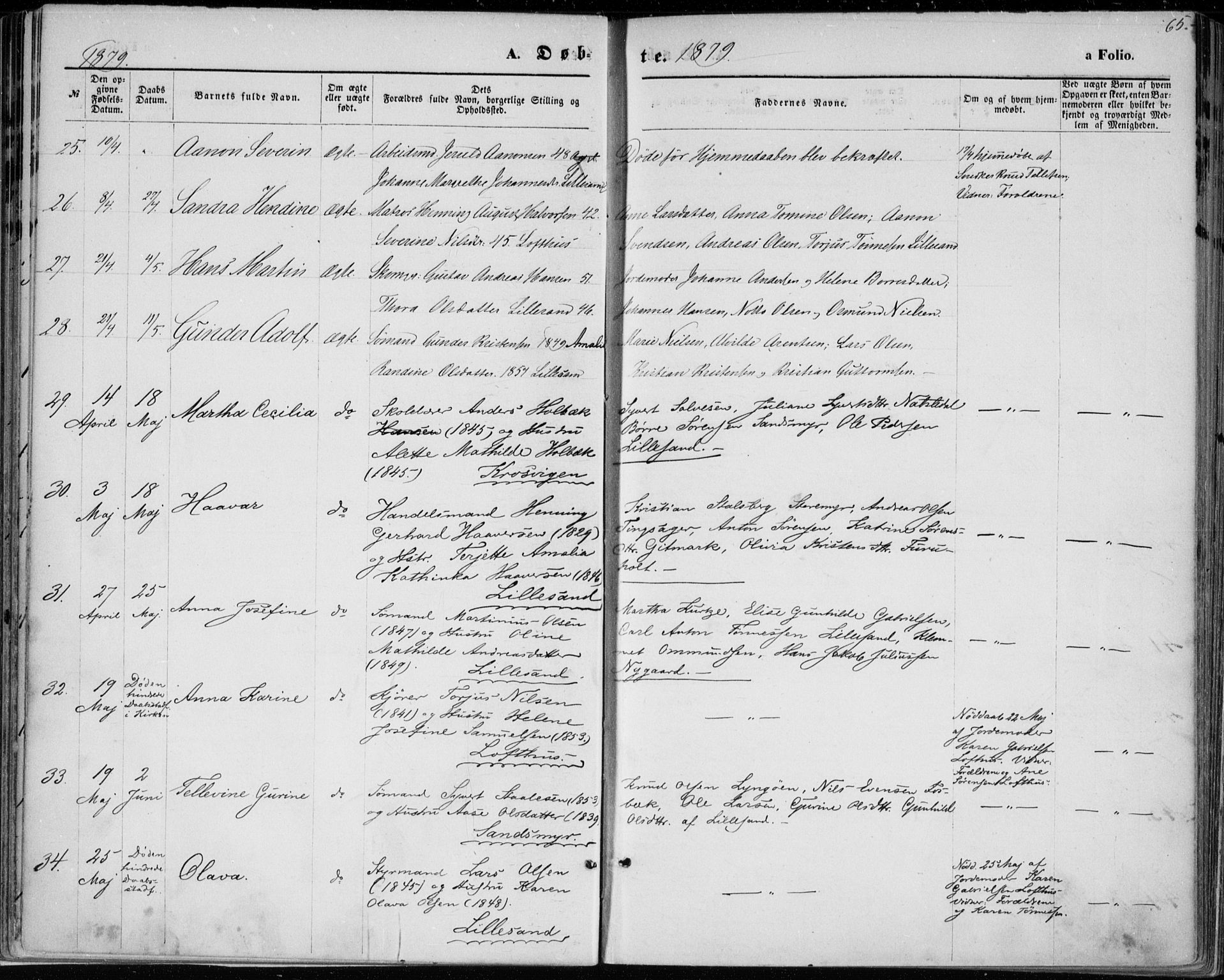 Vestre Moland sokneprestkontor, AV/SAK-1111-0046/F/Fa/Fab/L0008: Parish register (official) no. A 8, 1873-1883, p. 65