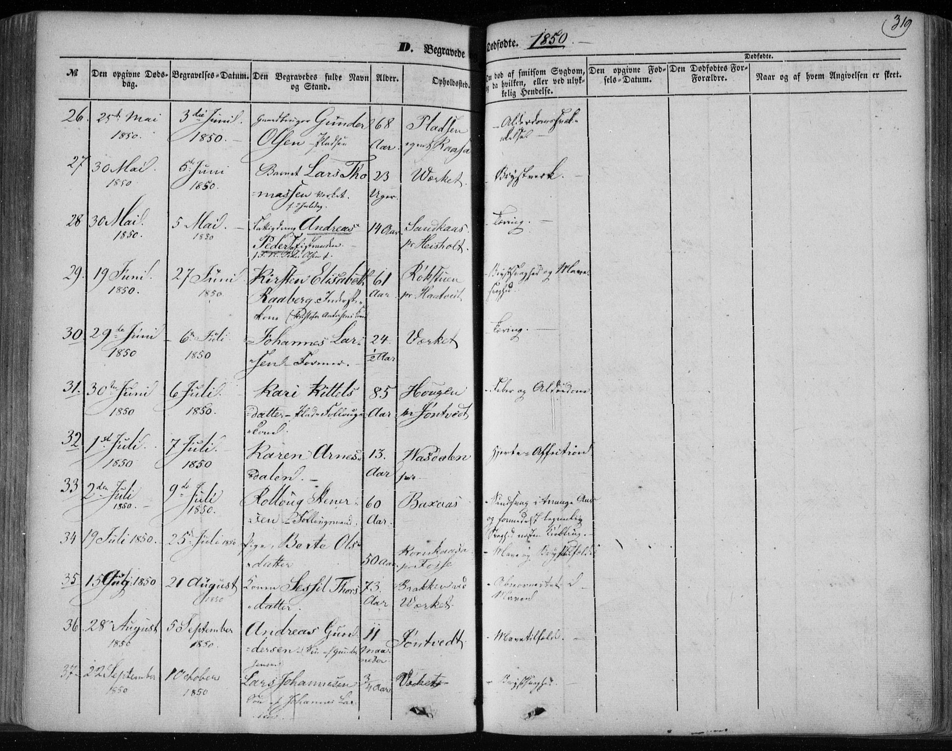 Holla kirkebøker, AV/SAKO-A-272/F/Fa/L0005: Parish register (official) no. 5, 1849-1860, p. 319