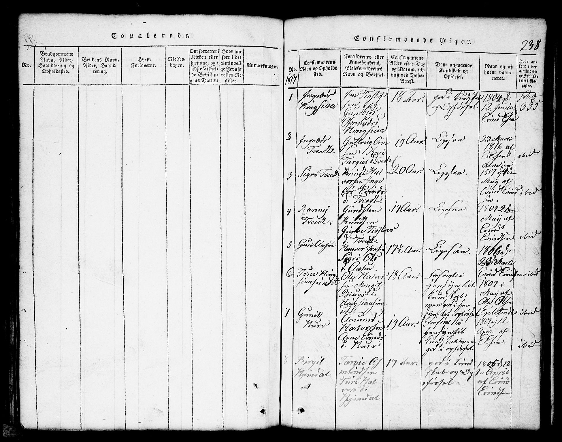 Nissedal kirkebøker, SAKO/A-288/G/Gb/L0001: Parish register (copy) no. II 1, 1814-1862, p. 238