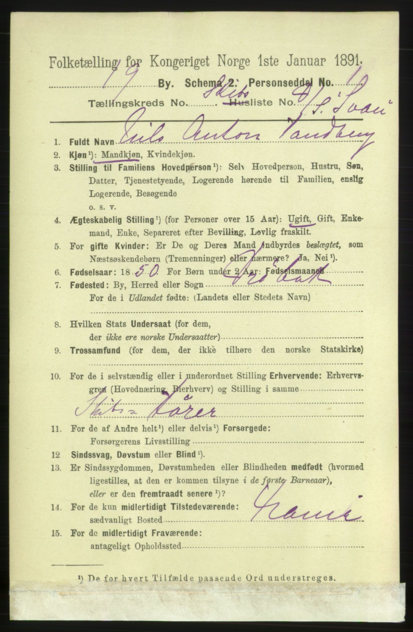 RA, 1891 census for 0702 Holmestrand, 1891, p. 2980