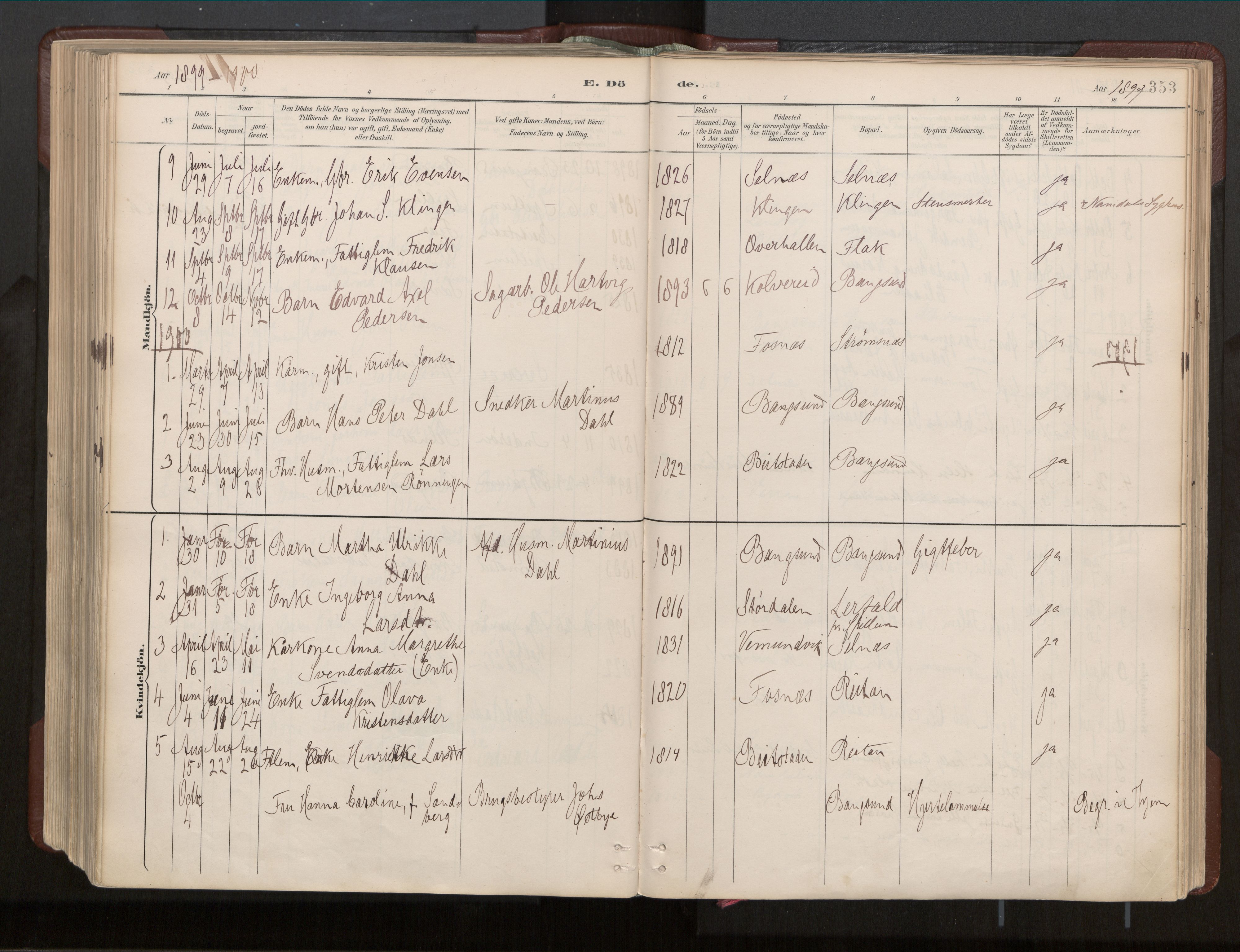 Ministerialprotokoller, klokkerbøker og fødselsregistre - Nord-Trøndelag, SAT/A-1458/770/L0589: Parish register (official) no. 770A03, 1887-1929, p. 353