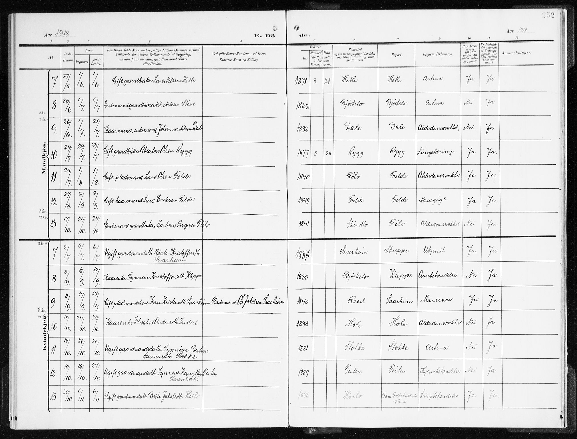 Gloppen sokneprestembete, AV/SAB-A-80101/H/Haa/Haac/L0003: Parish register (official) no. C 3, 1904-1921, p. 252