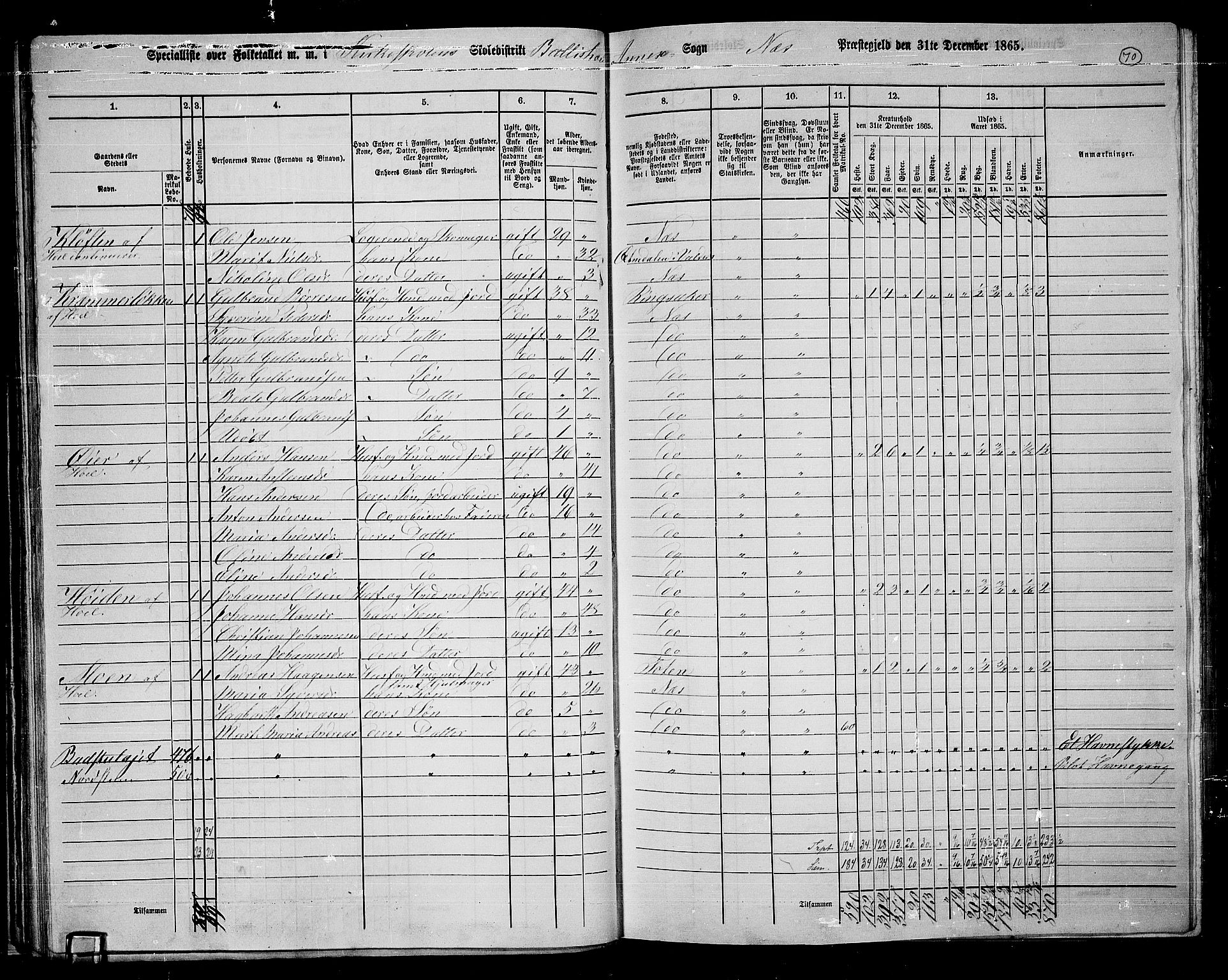 RA, 1865 census for Nes, 1865, p. 64