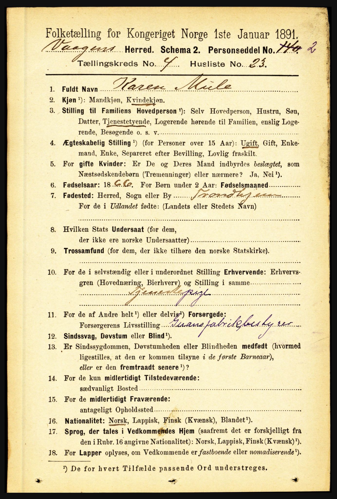 RA, 1891 census for 1865 Vågan, 1891, p. 1078