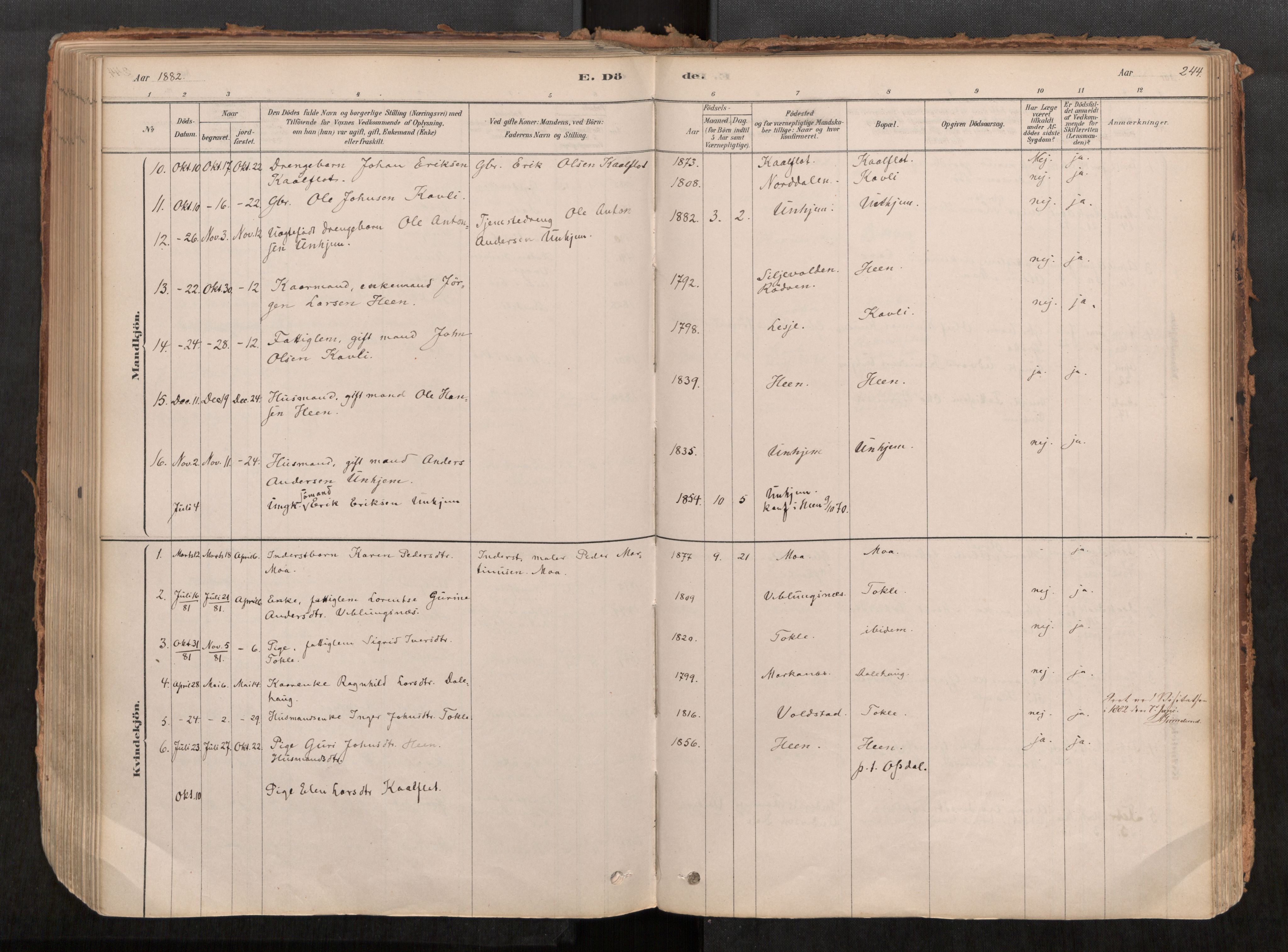 Ministerialprotokoller, klokkerbøker og fødselsregistre - Møre og Romsdal, AV/SAT-A-1454/545/L0594: Parish register (official) no. 545A03, 1878-1920, p. 244