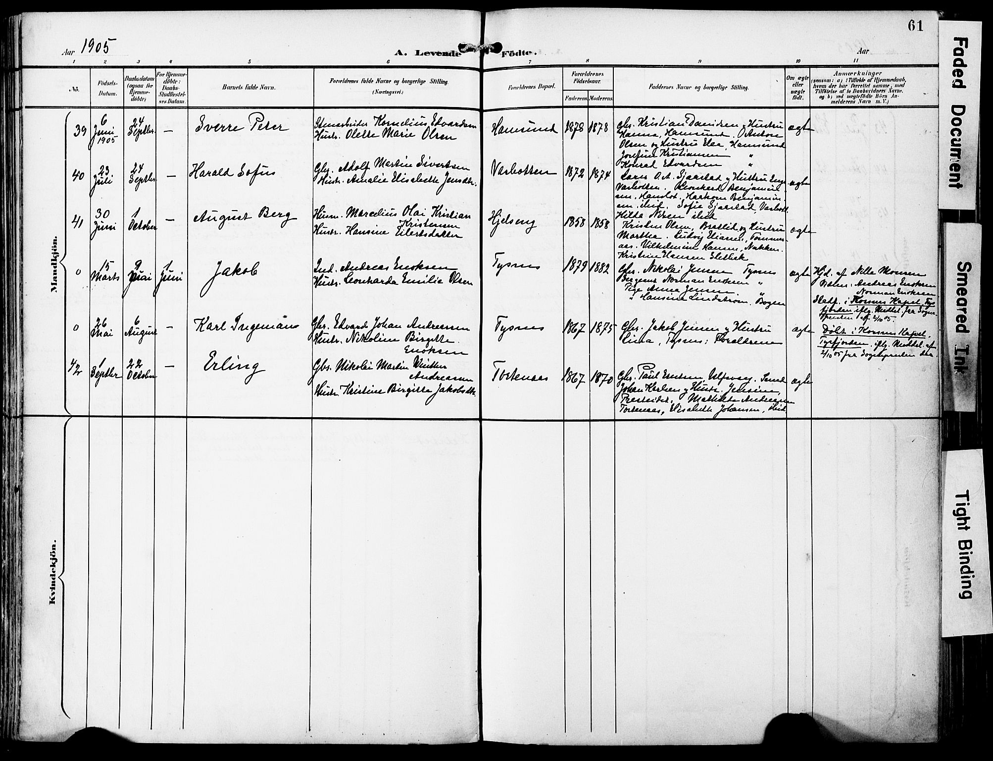 Ministerialprotokoller, klokkerbøker og fødselsregistre - Nordland, AV/SAT-A-1459/859/L0848: Parish register (official) no. 859A08, 1900-1912, p. 61