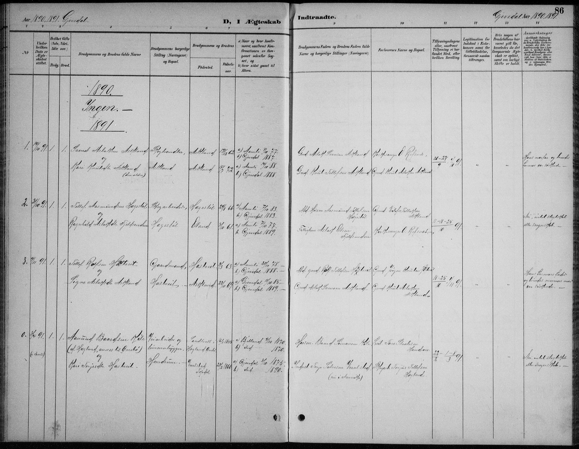 Åmli sokneprestkontor, AV/SAK-1111-0050/F/Fb/Fba/L0002: Parish register (copy) no. B 2, 1890-1912, p. 87